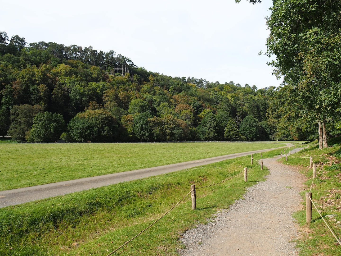 Lower part of the wildlife park - Large mixed paddock in the Lesse Valley, 2023-09-26