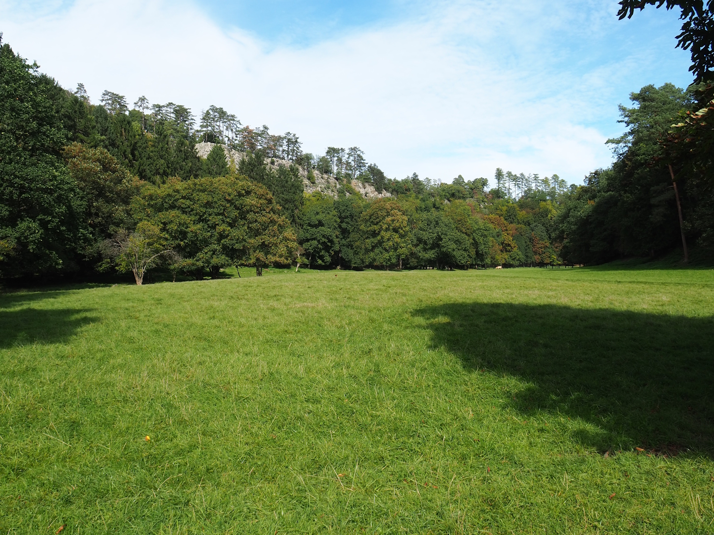 Lower part of the wildlife park - Large mixed paddock in the Lesse Valley, 2023-09-26