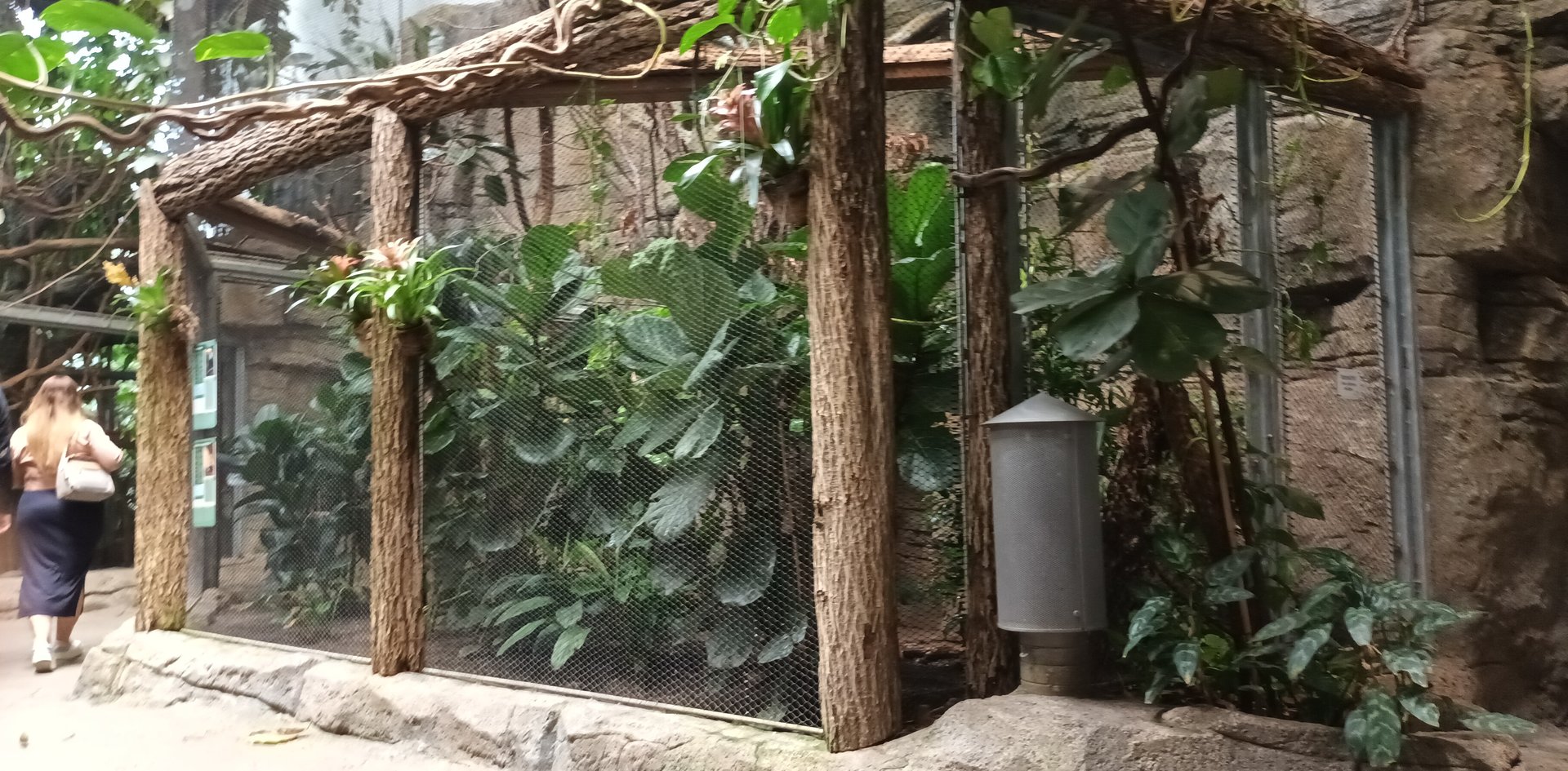 Lower part of Toco Toucan Aviary