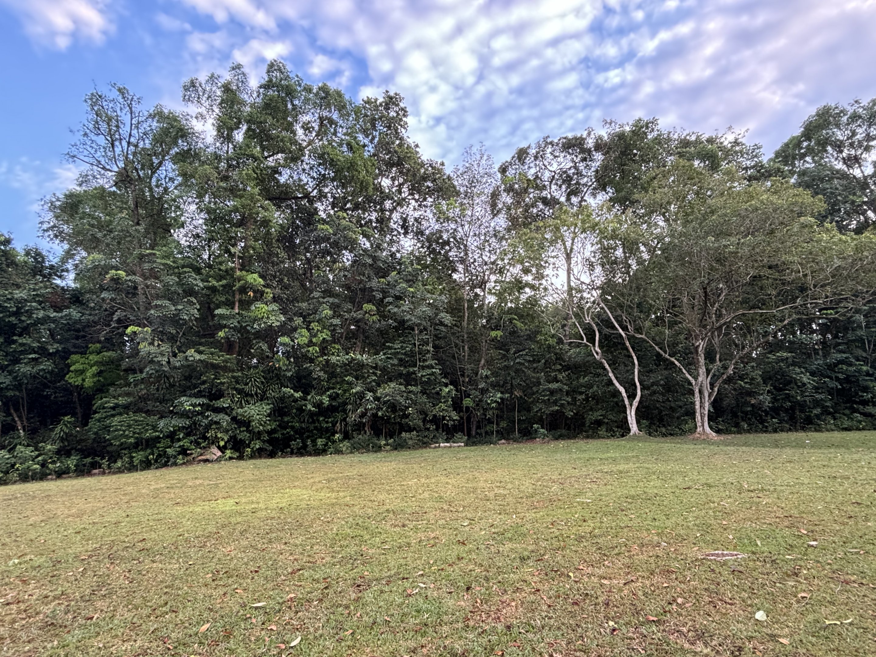 Lower Peirce Reservoir - early morning hike
