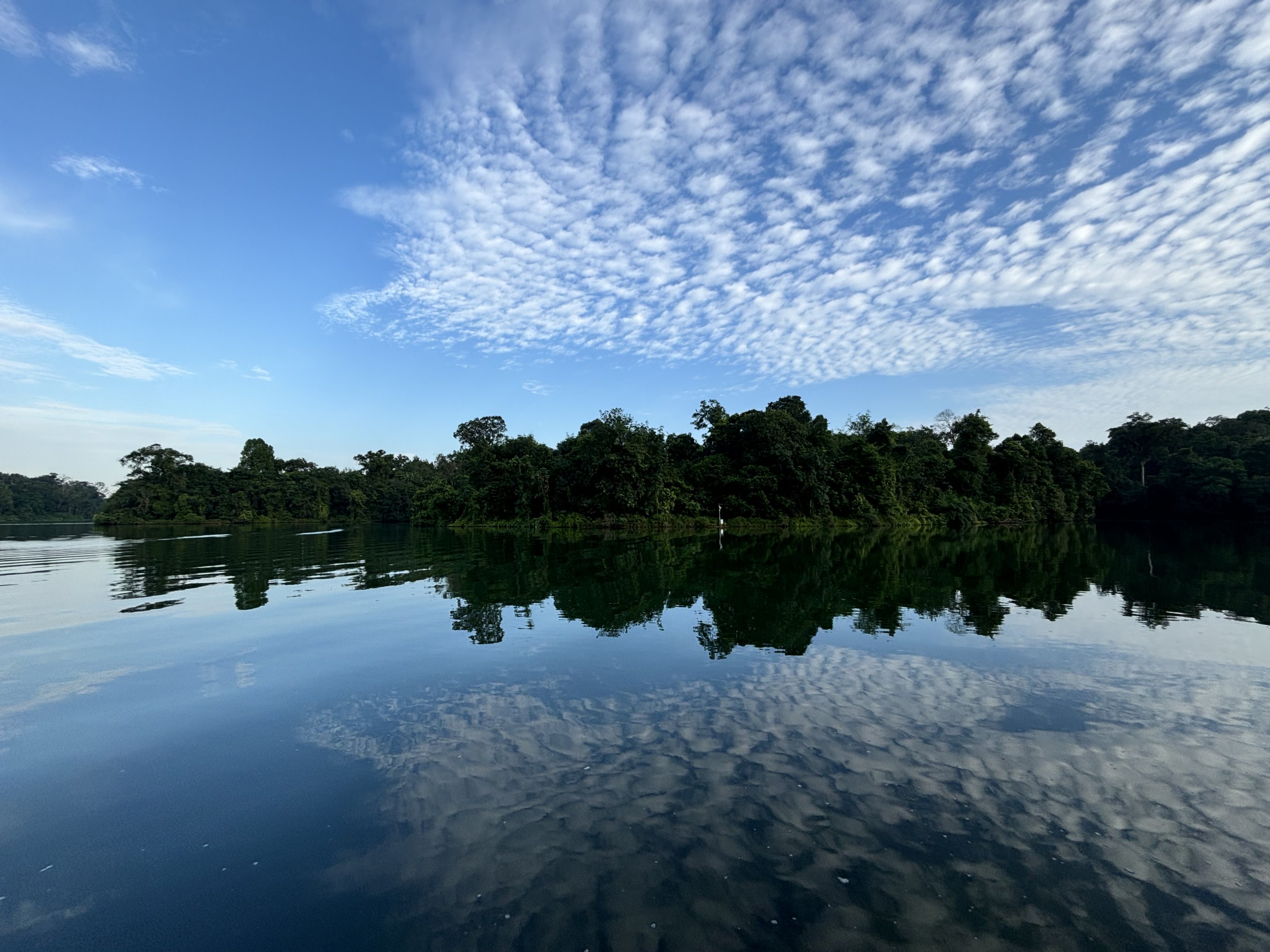 Lower Peirce Reservoir - early morning hike