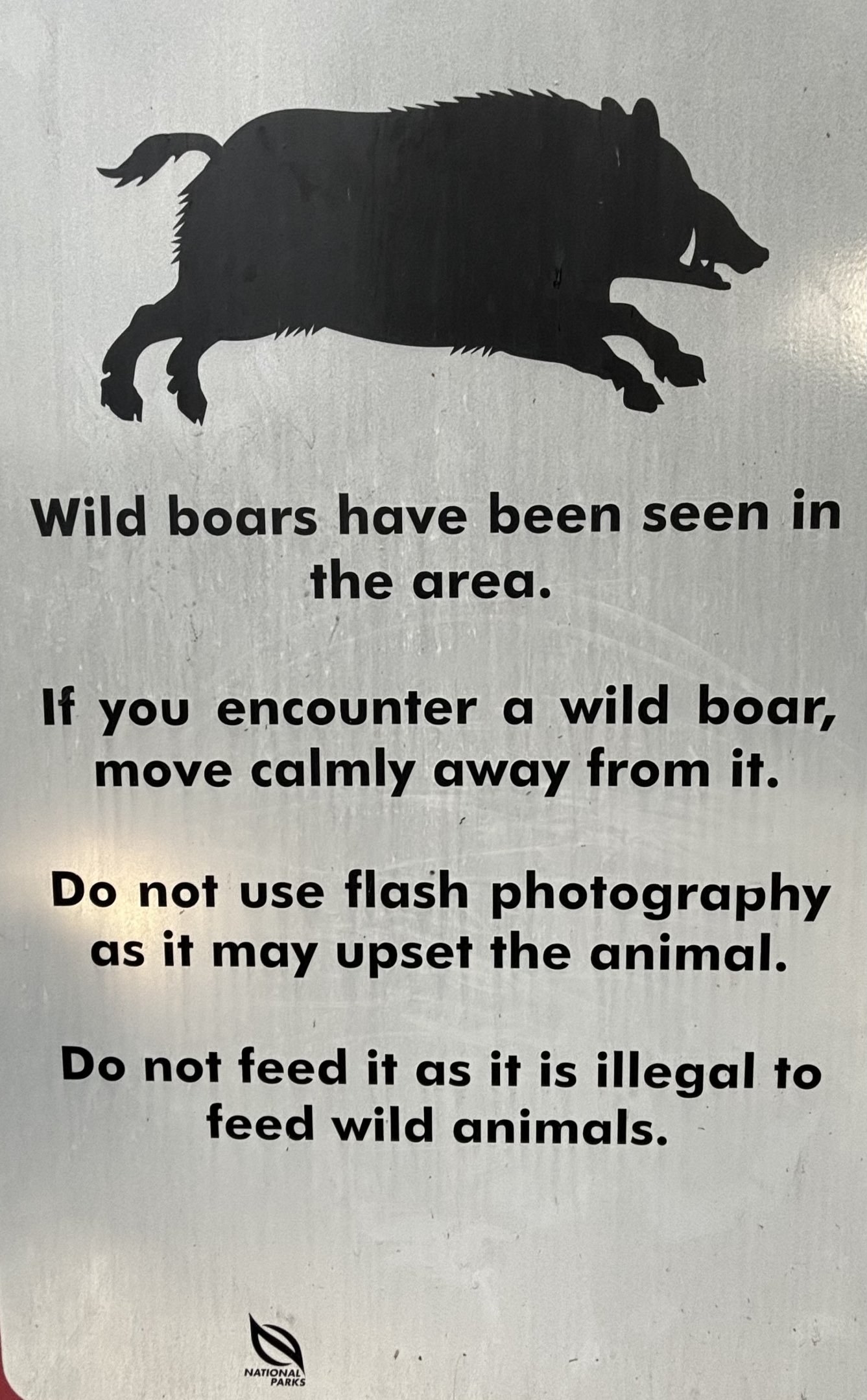 Lower Peirce Reservoir