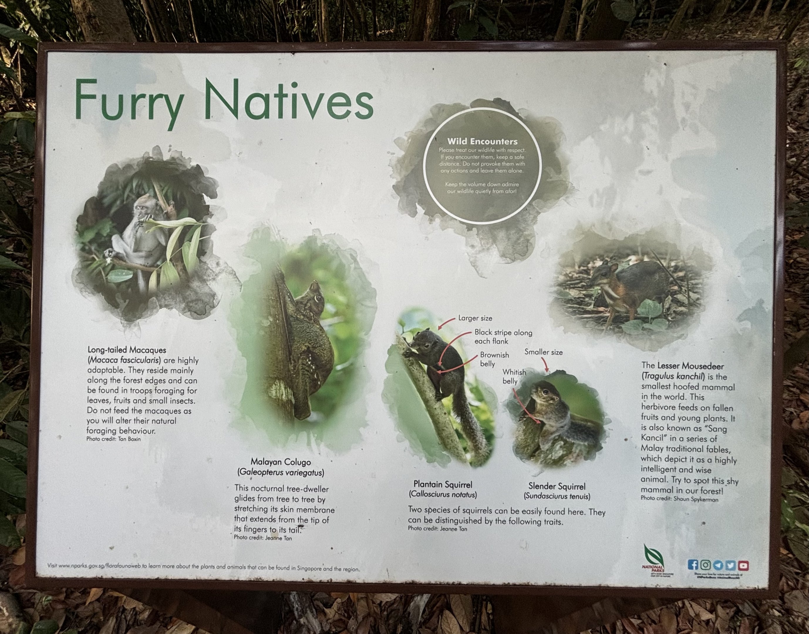 Lower Peirce Reservoir