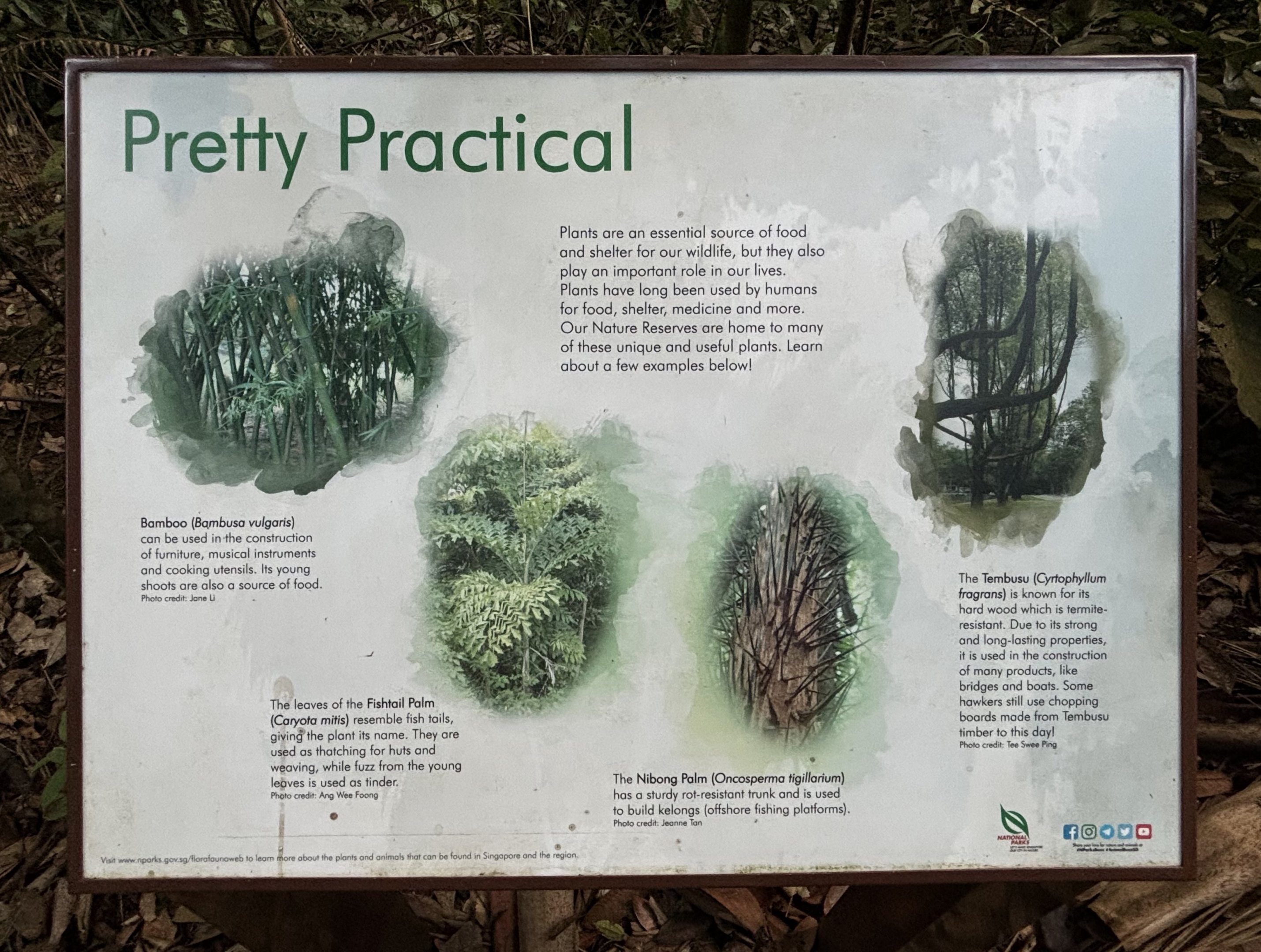 Lower Peirce Reservoir