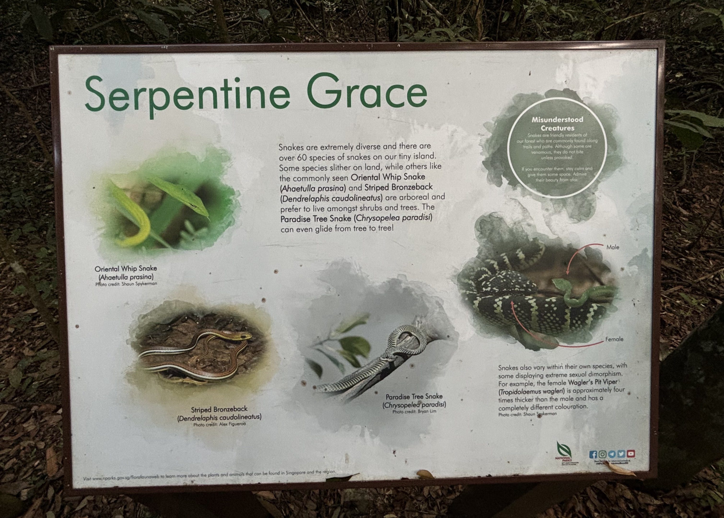 Lower Peirce Reservoir