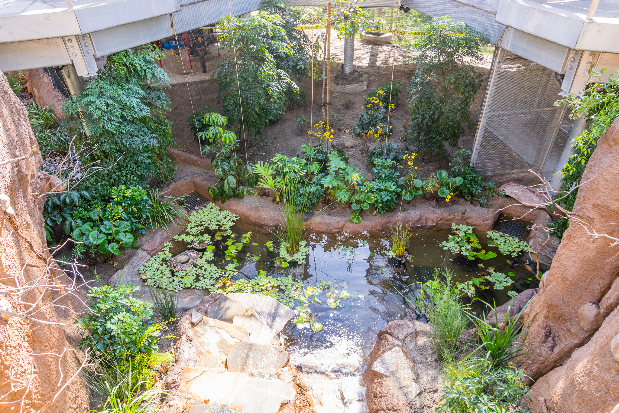 Lower pool inside aviary.