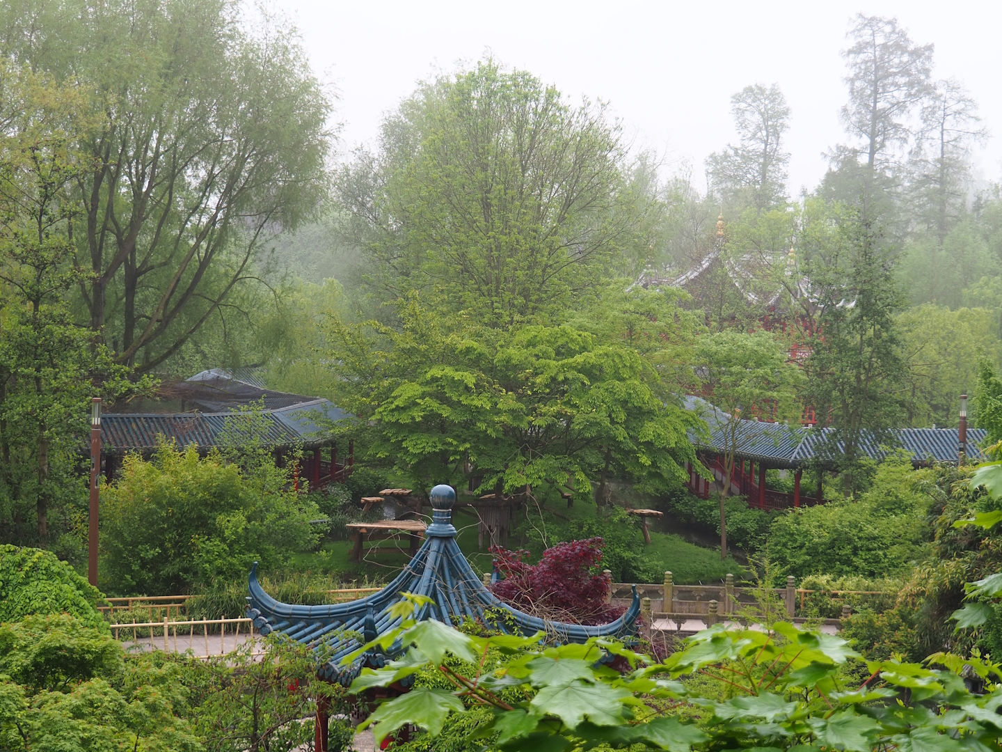 Lower red panda exhibit and Chinese viewing corridor seen from the hillside red panda exhibit viewing area, 2023-05-15
