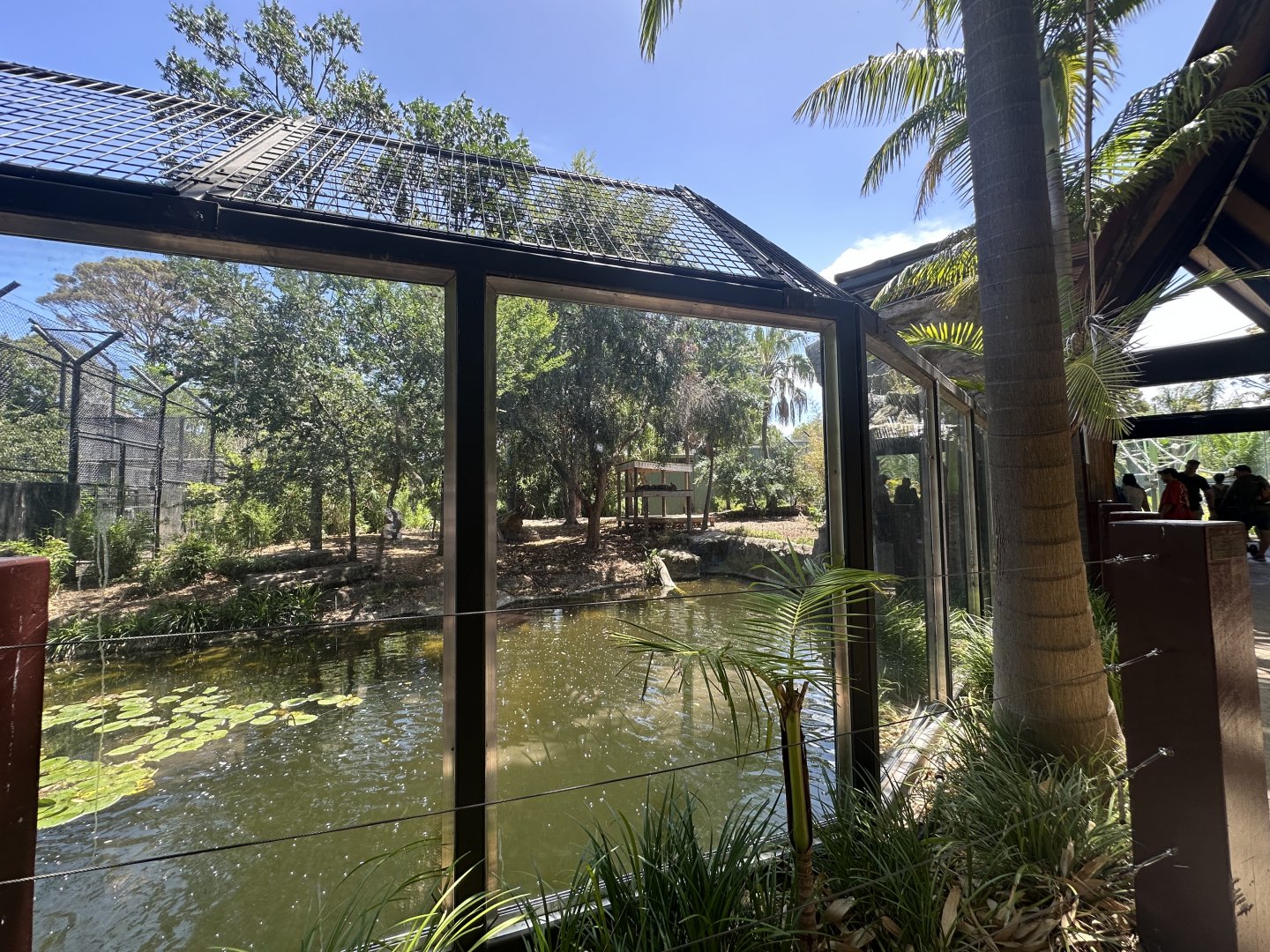 Lower Sumatran Tiger exhibit