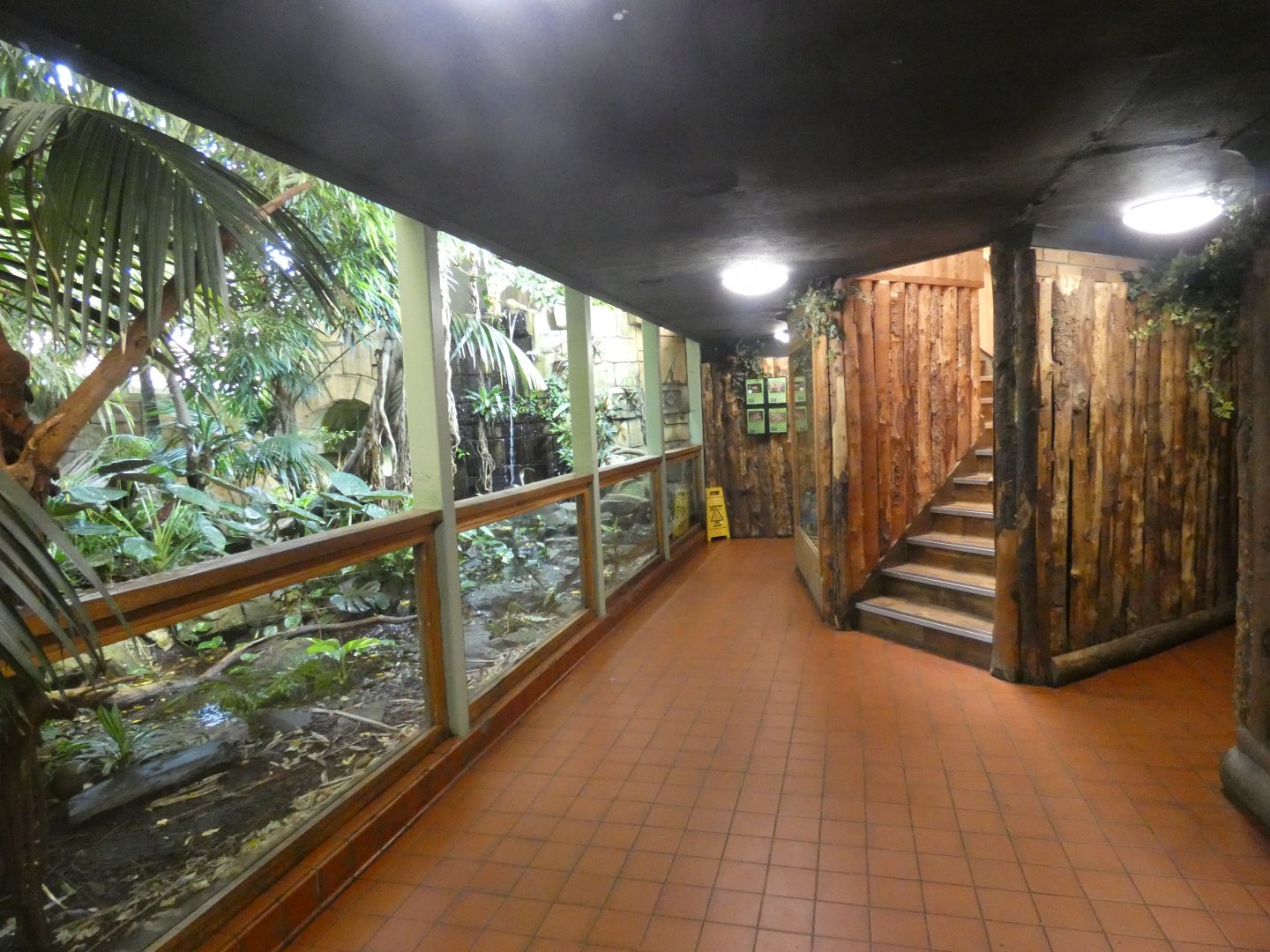 Lower Tropical House viewing area