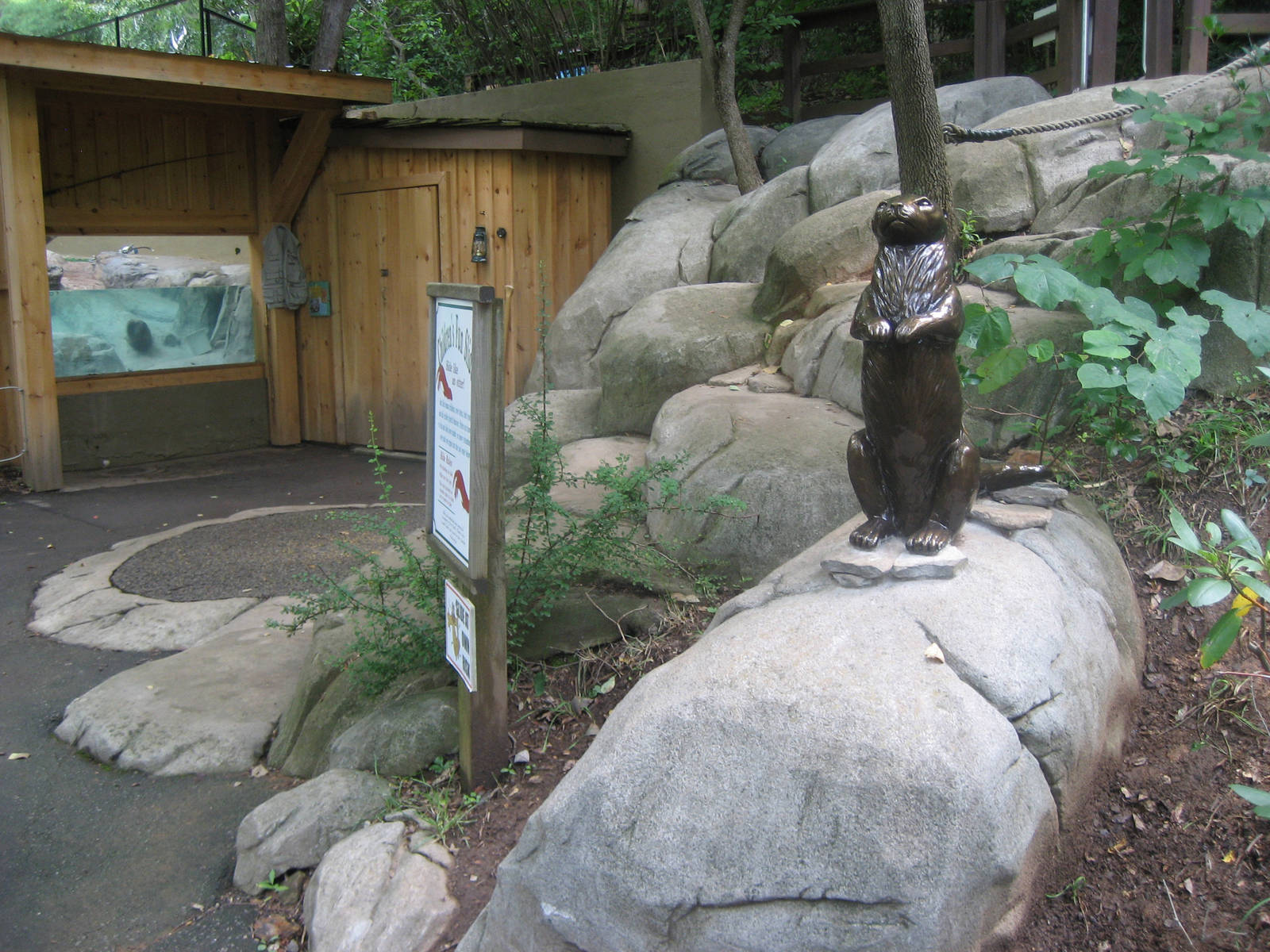 lower view of otter exhbit