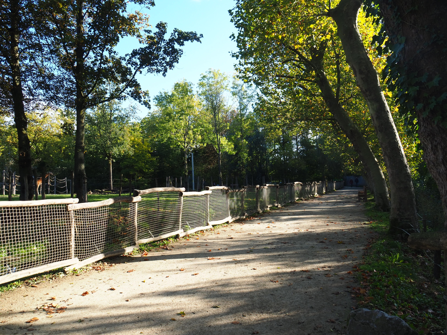 Lower viewing area and walkway alongside the giraffe savanna exhibit, 2020-10-10