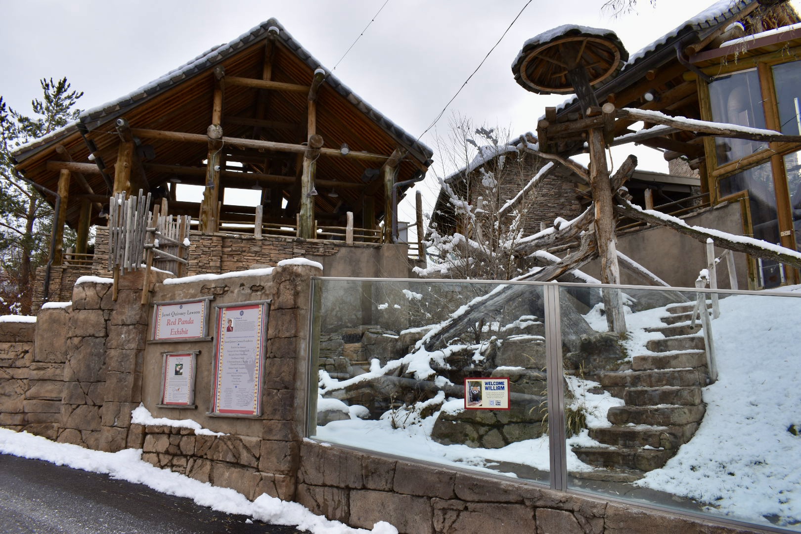 Lower Viewing - Red Panda Exhibit - Asian Highlands