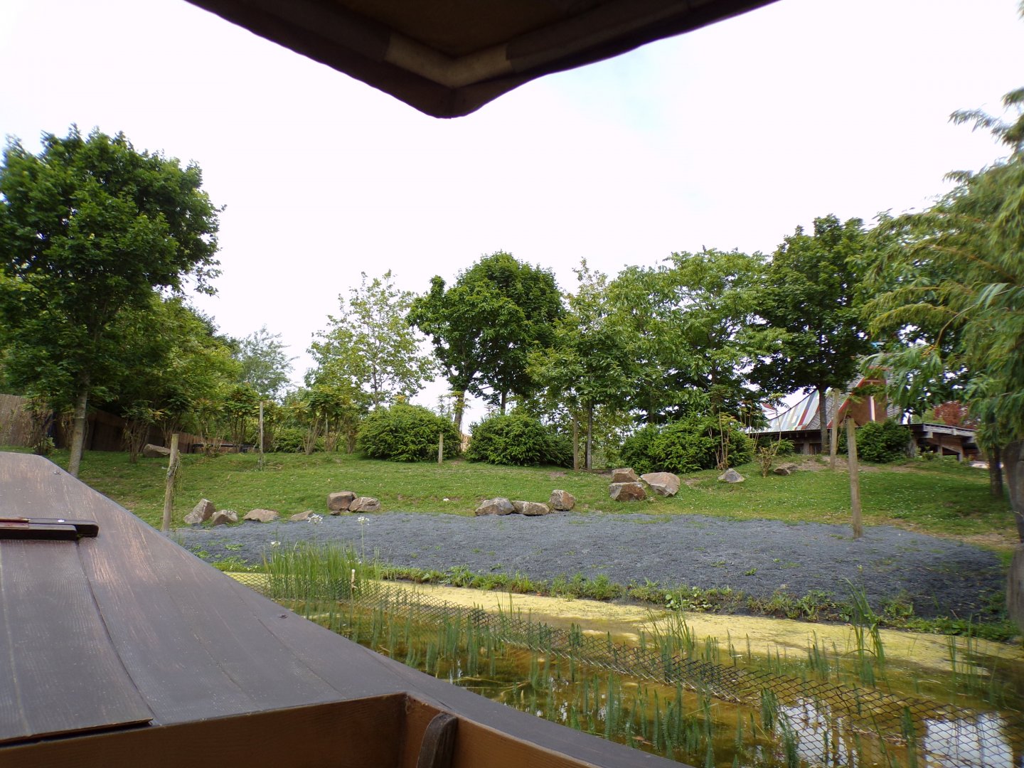 Lowland anoa enclosure from riverboat 29.6.24