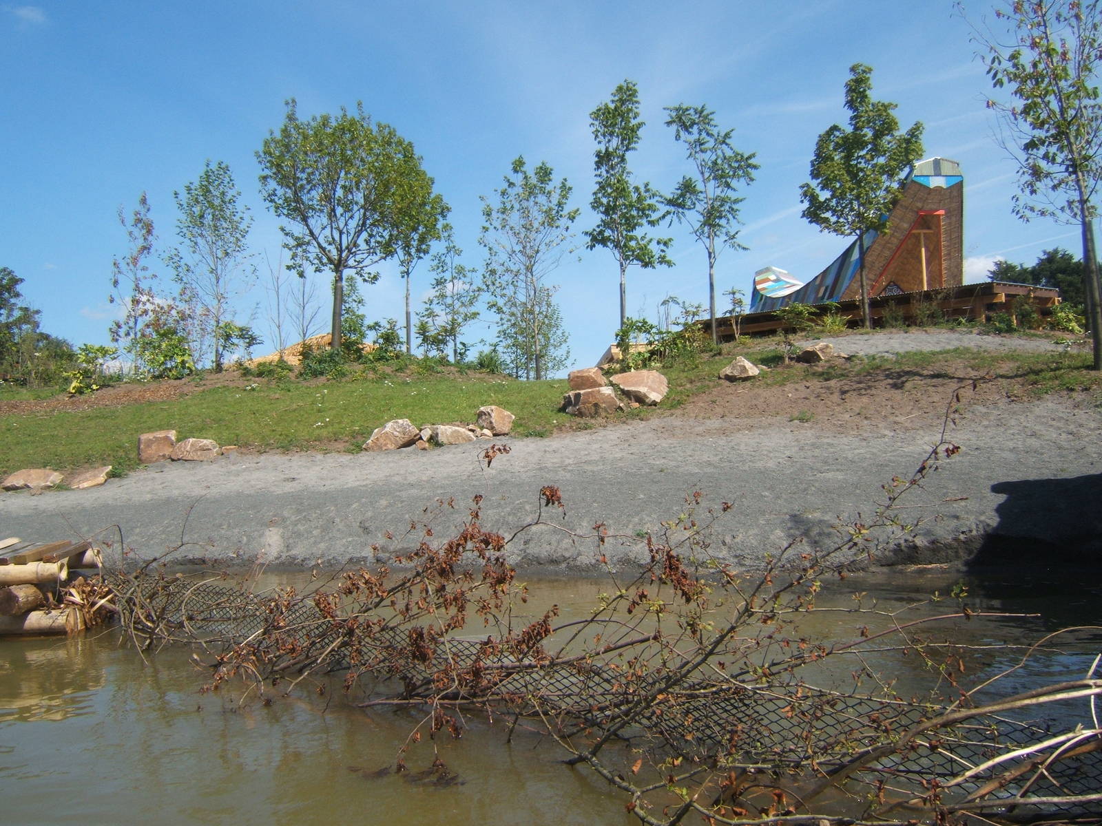 Lowland Anoa enclosure