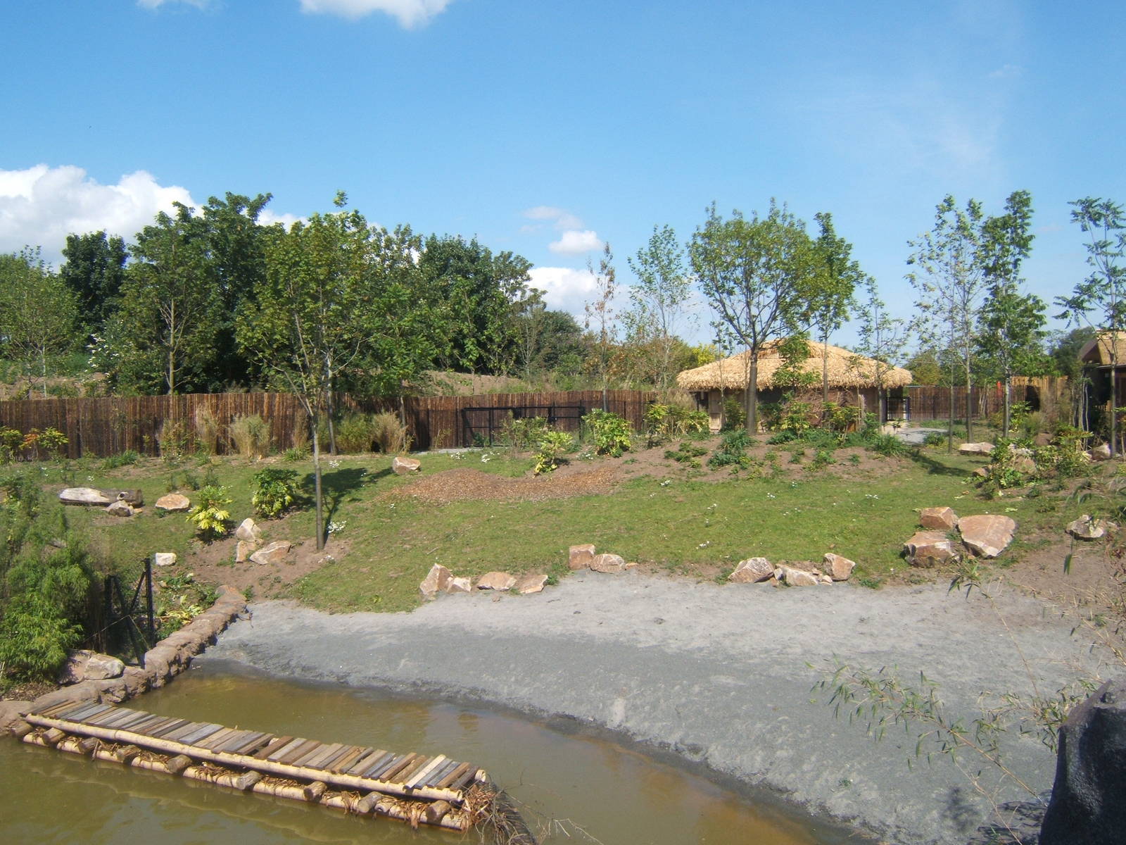 Lowland Anoa enclosure