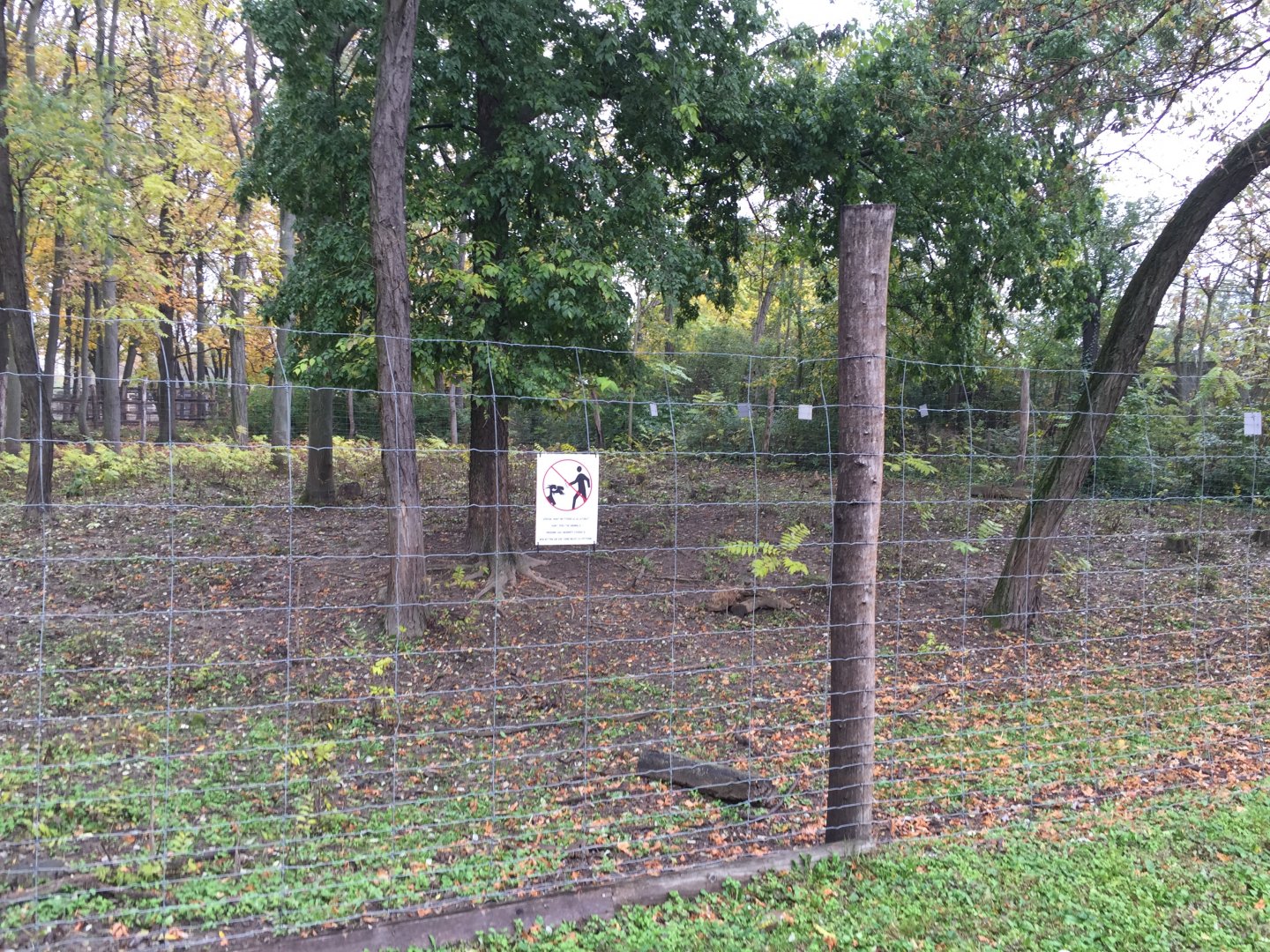 Lowland anoa exhibit 10.2020.