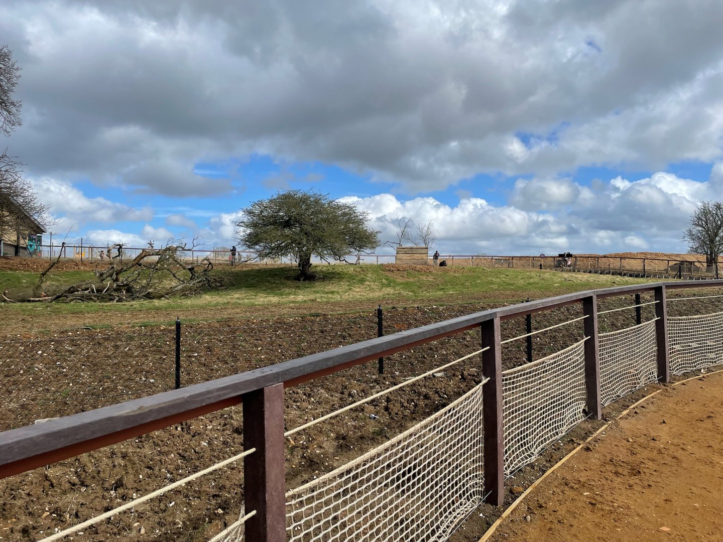 Lowland Anoa Paddock