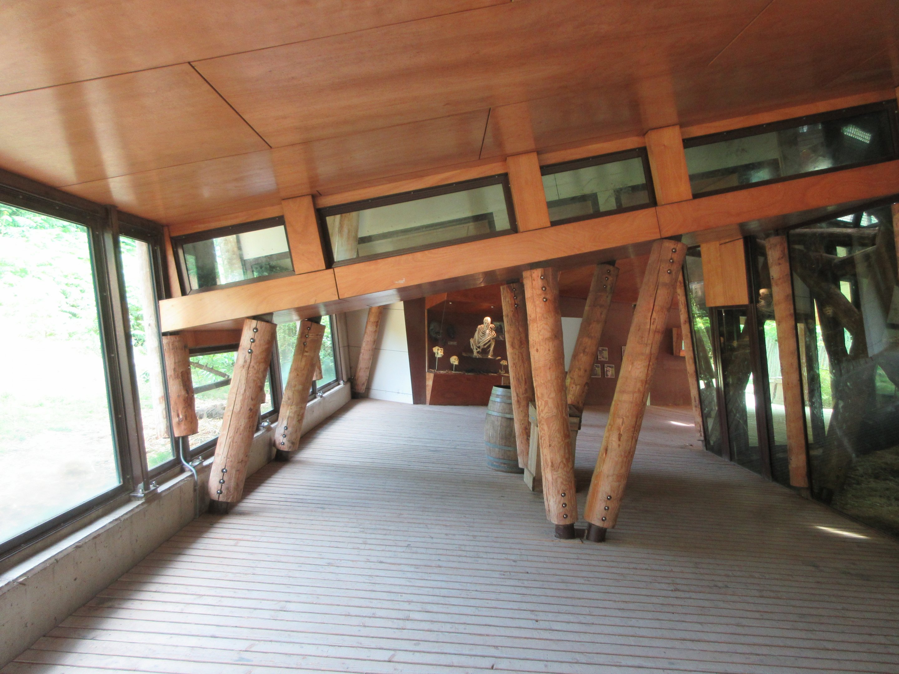 Lowland Gorilla/Black Crested Mangabey Exhibit - access chute