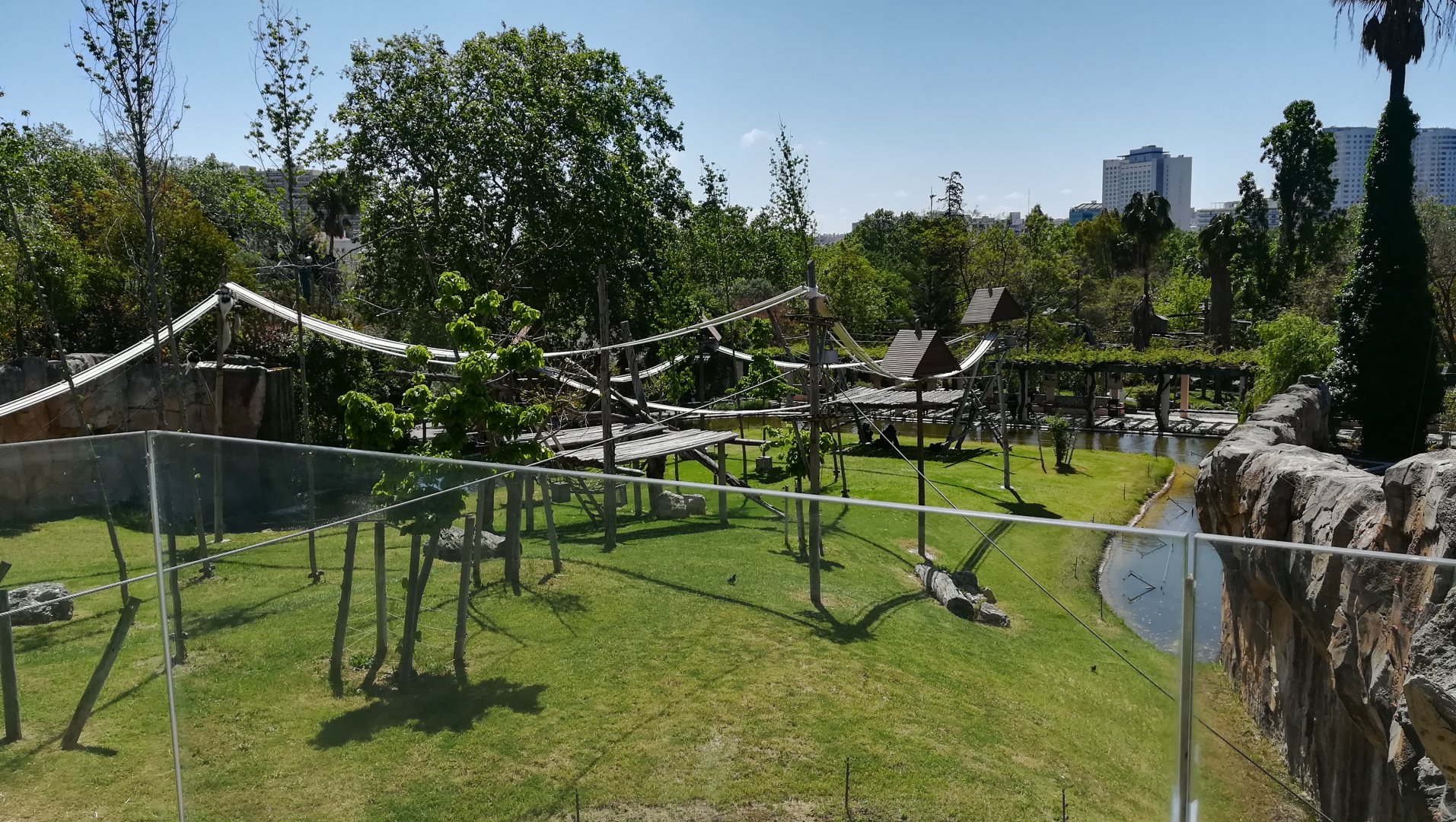 Lowland gorilla enclosure