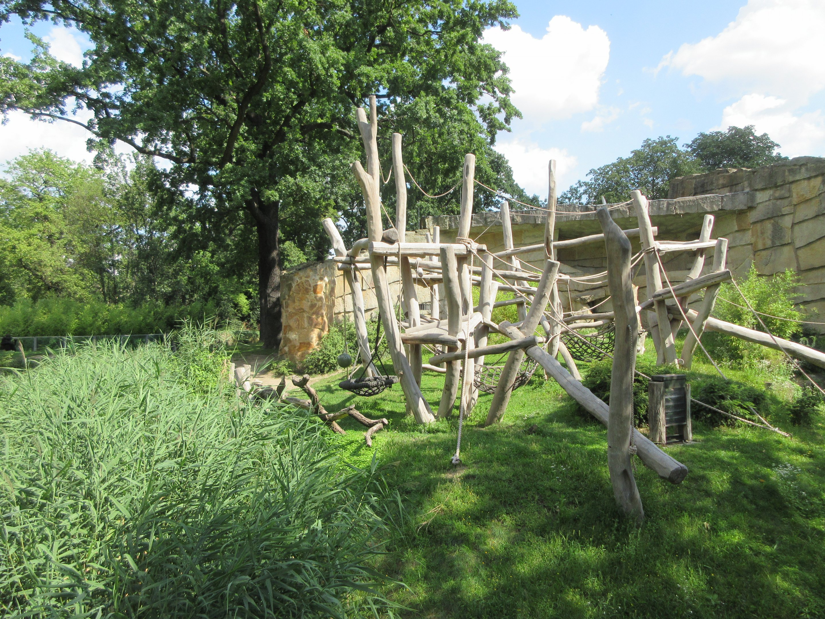 Lowland Gorilla Exhibit (50% shown)