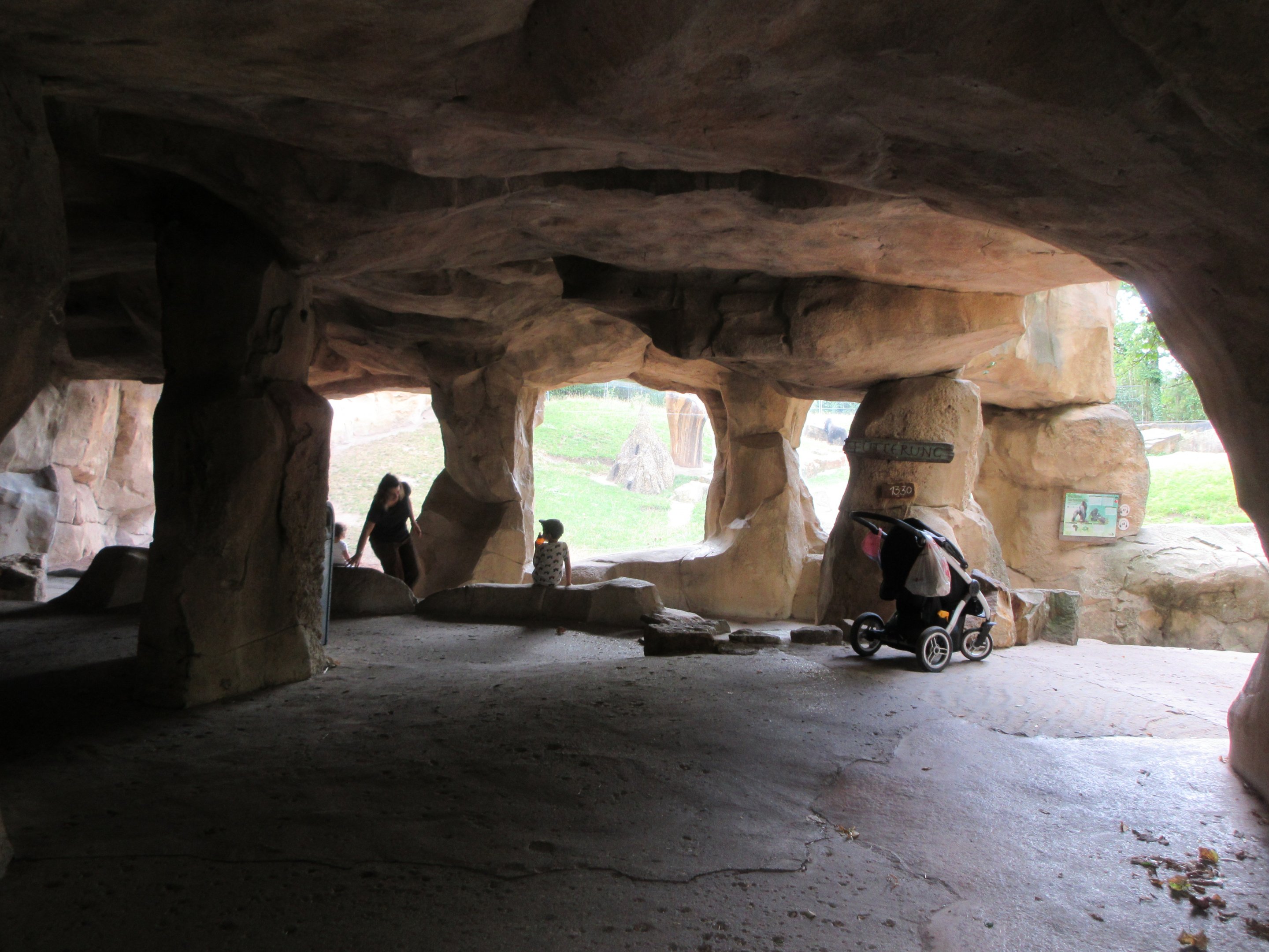 Lowland Gorilla Exhibit - cave viewing area
