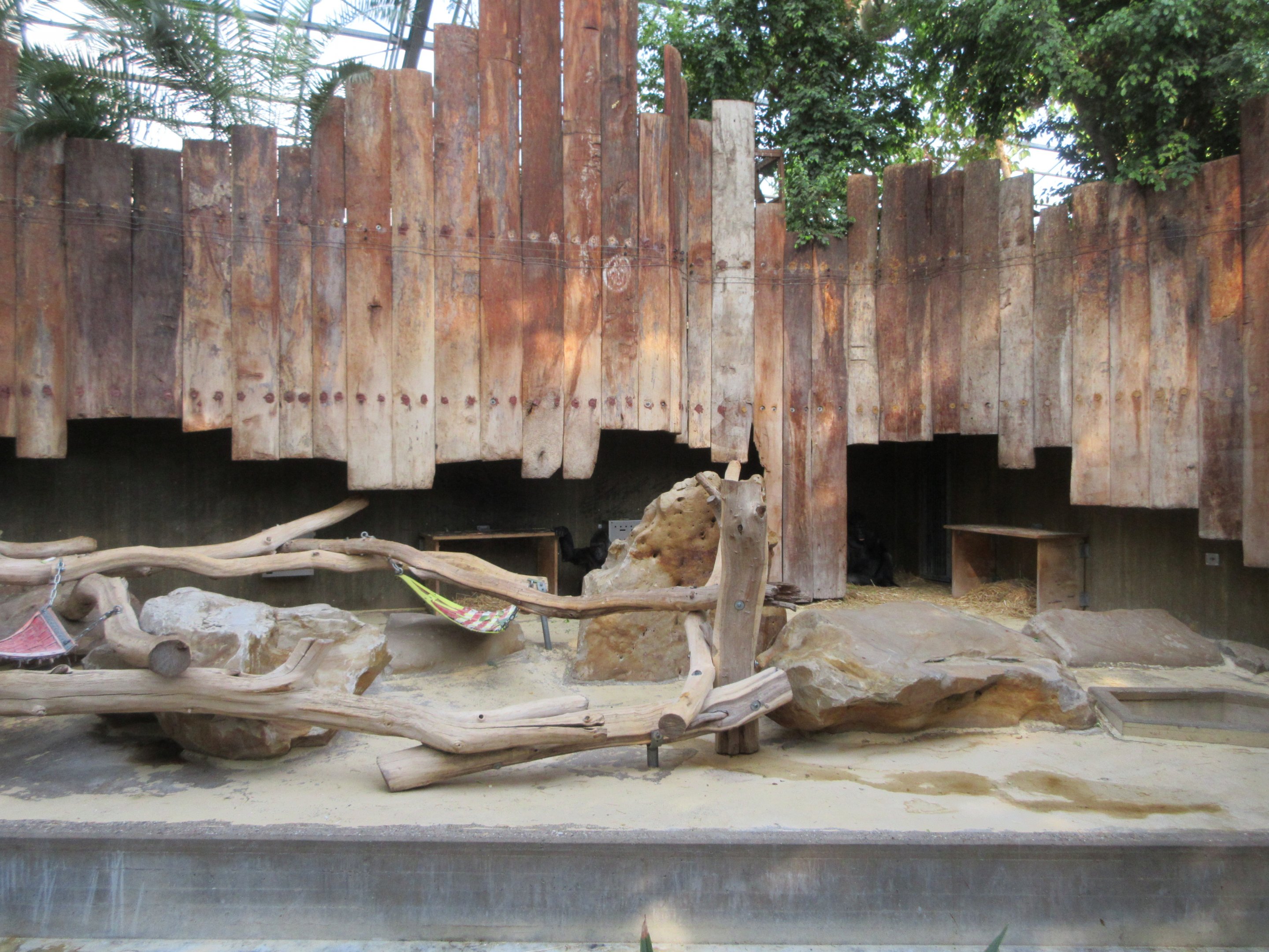 Lowland Gorilla Exhibit (zero outdoor access but home to a couple of 44 year-old apes)