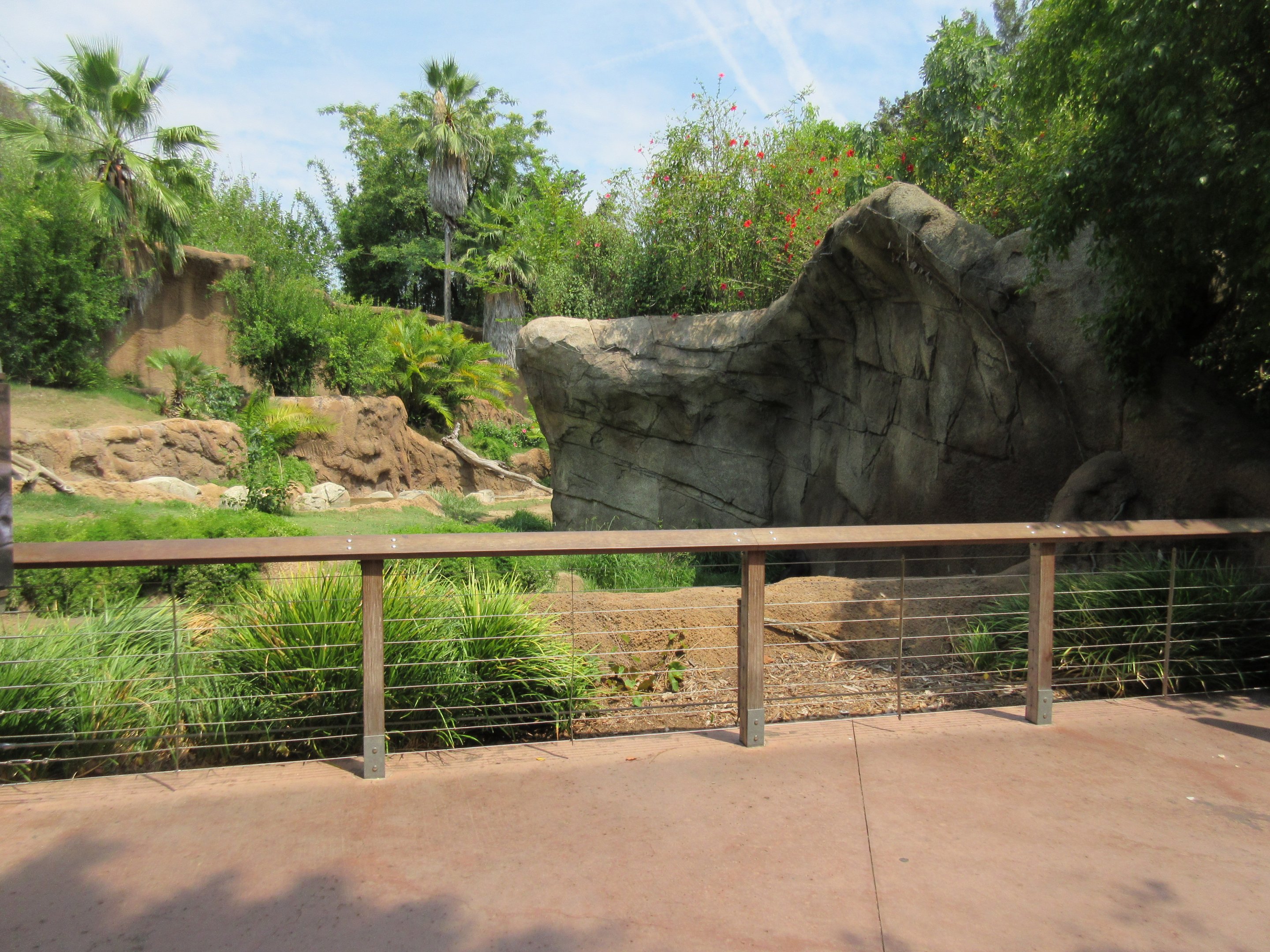 Lowland Gorilla Exhibit