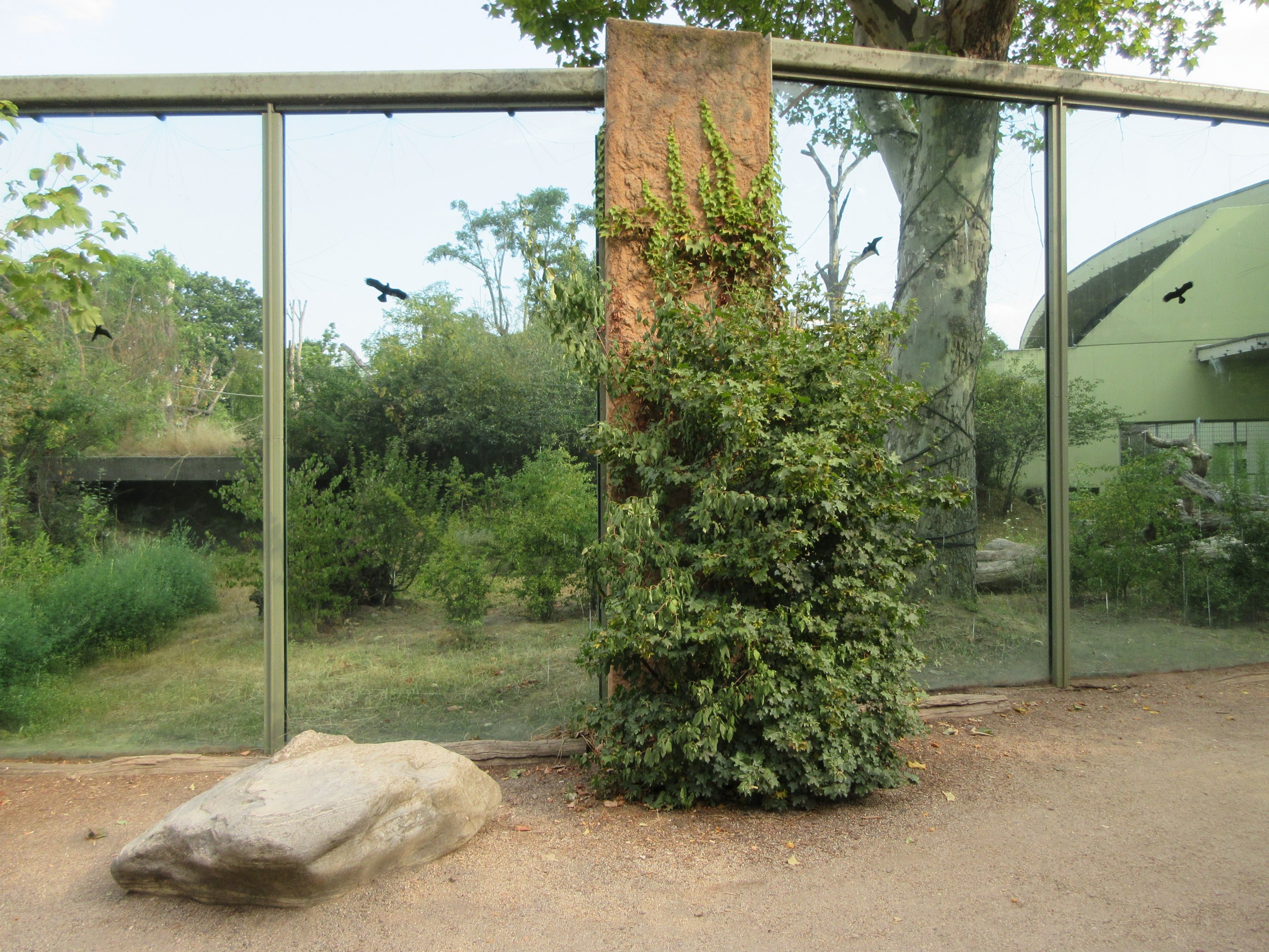 Lowland Gorilla Exhibit