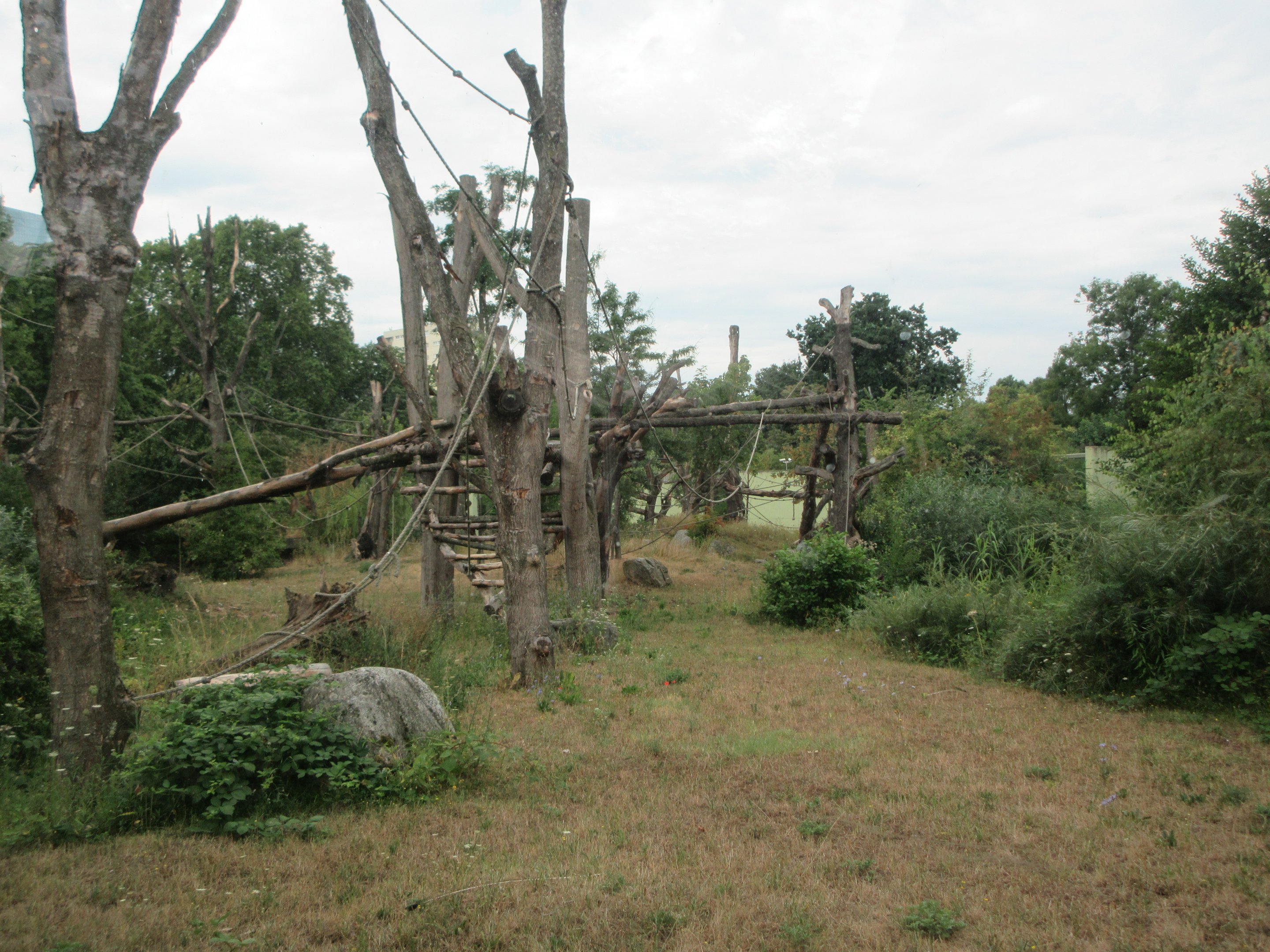 Lowland Gorilla Exhibit