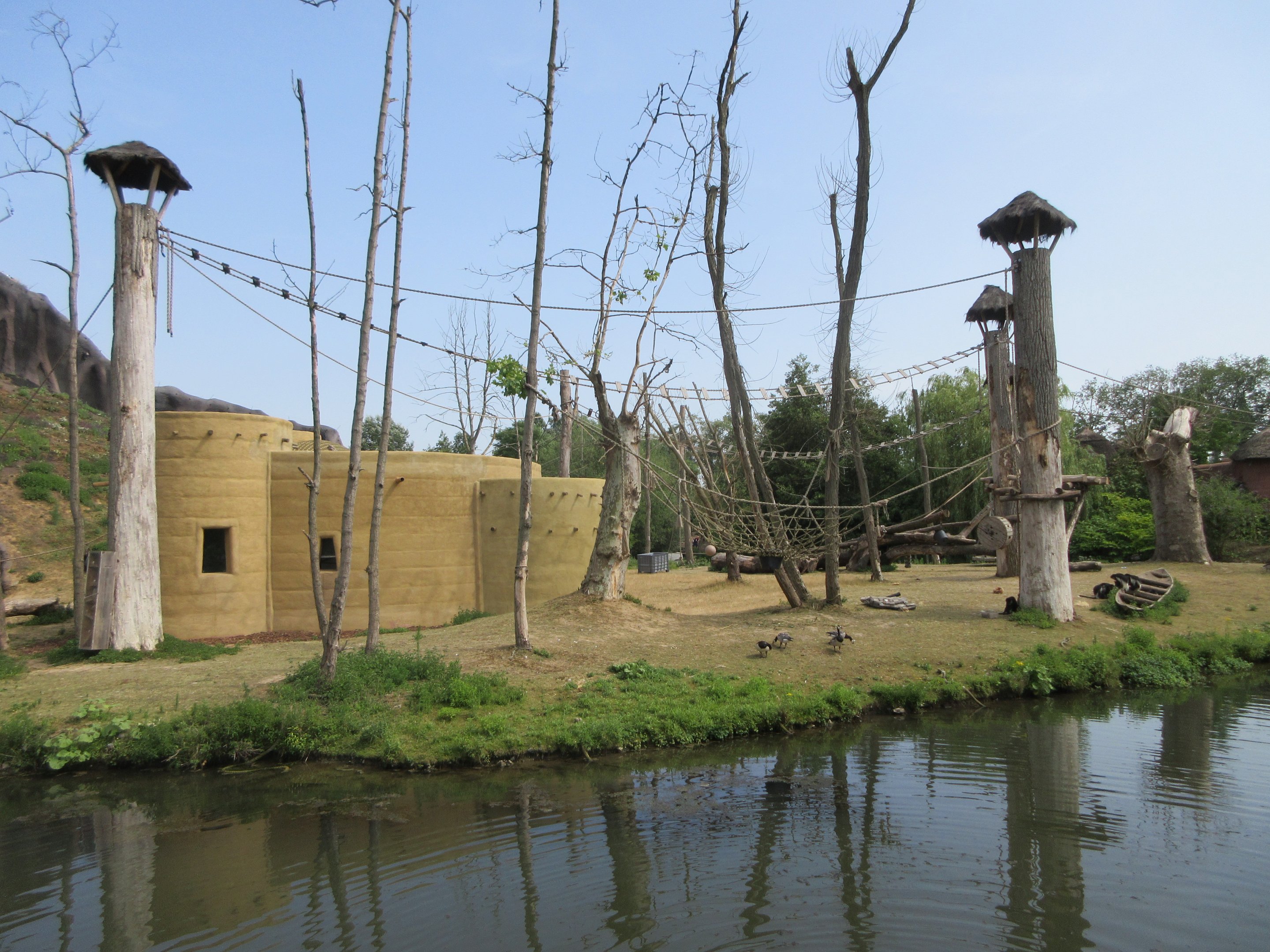 Lowland Gorilla/ Mantled Guereza Exhibit