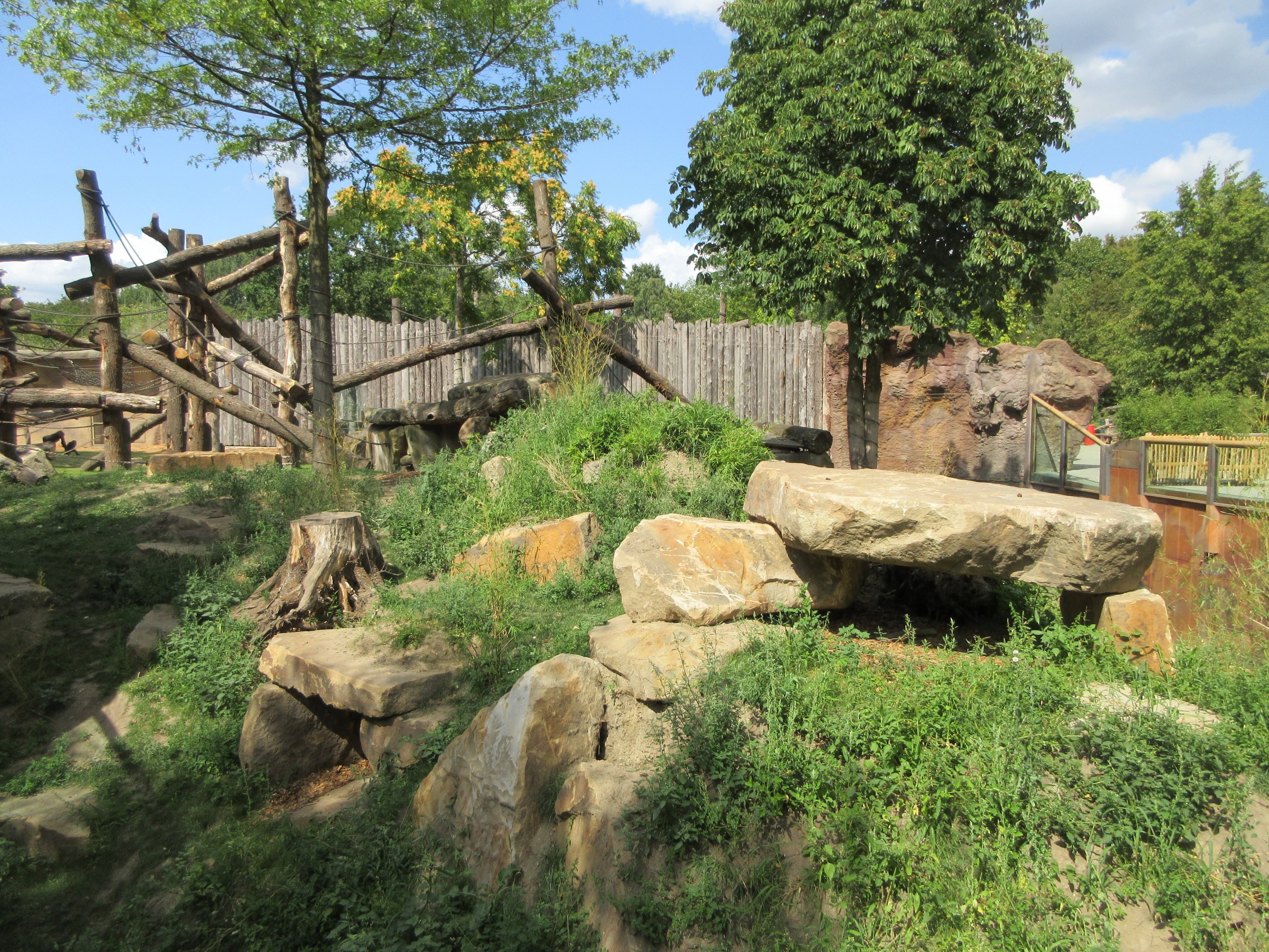 Lowland Gorilla/Red-capped Mangabey Exhibit #1