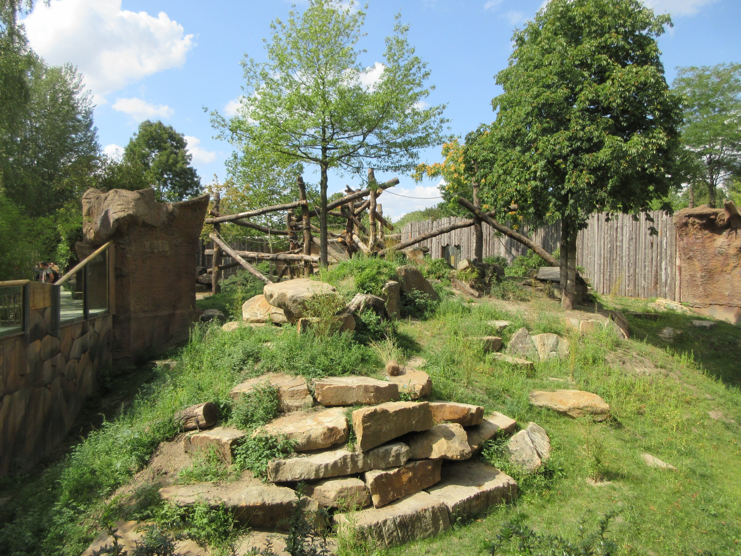 Lowland Gorilla/Red-capped Mangabey Exhibit #1