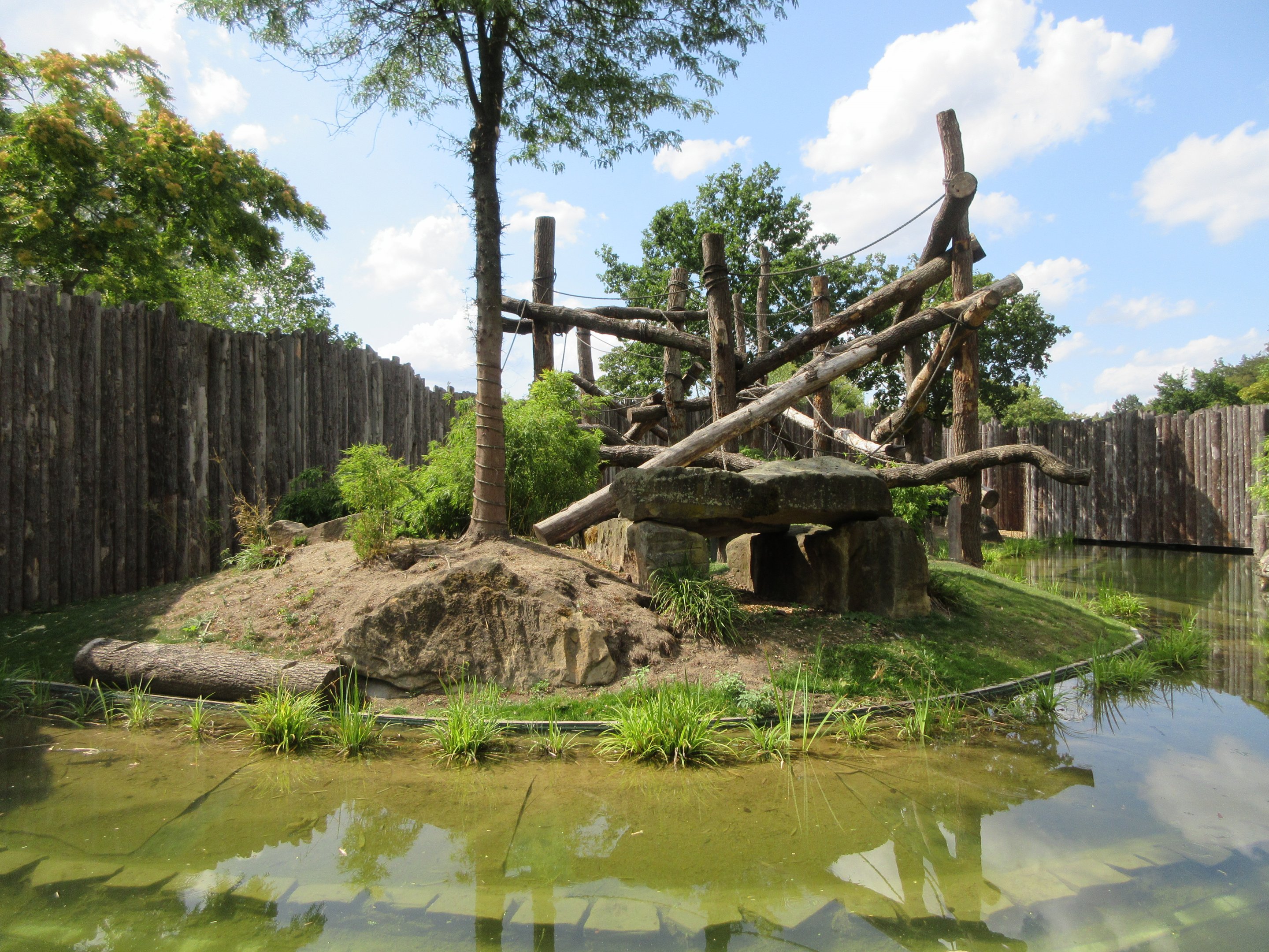 Lowland Gorilla/Red-capped Mangabey Exhibit #2
