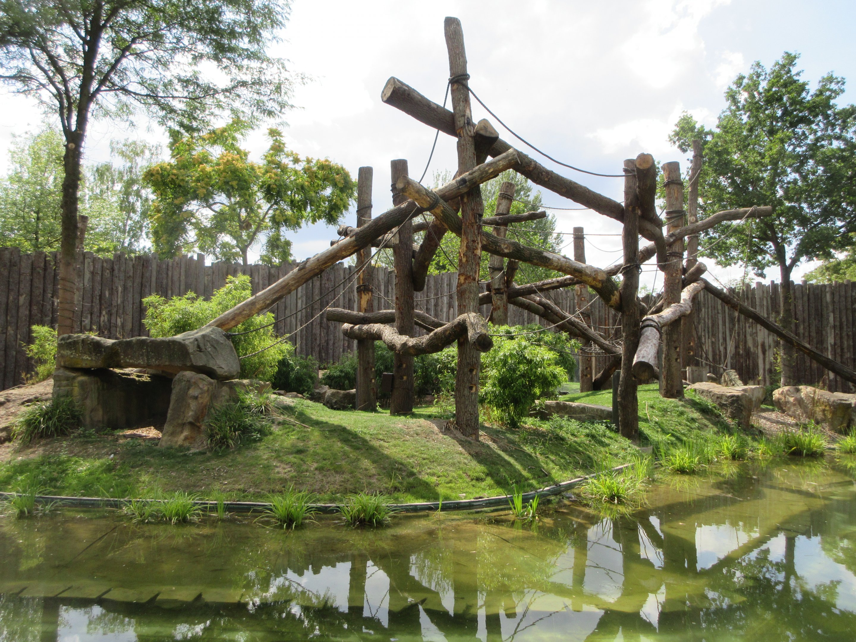Lowland Gorilla/Red-capped Mangabey Exhibit #2