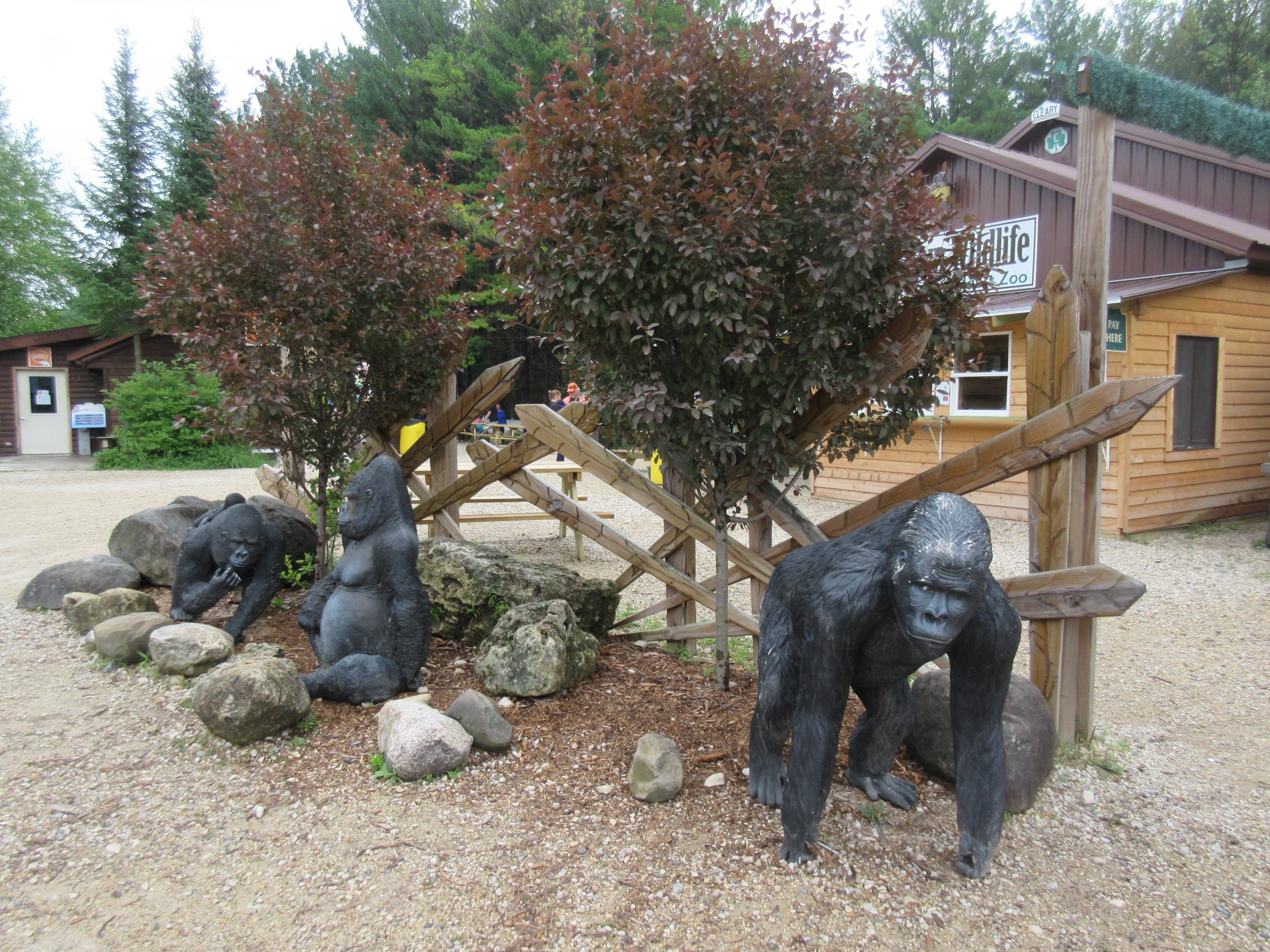 Lowland Gorilla Statues