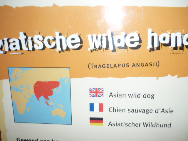 Lowland Nyala = Dhole ?