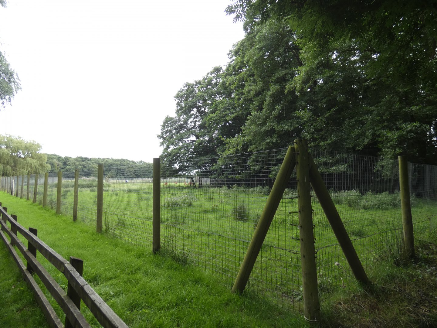 Lowland nyala enclosure