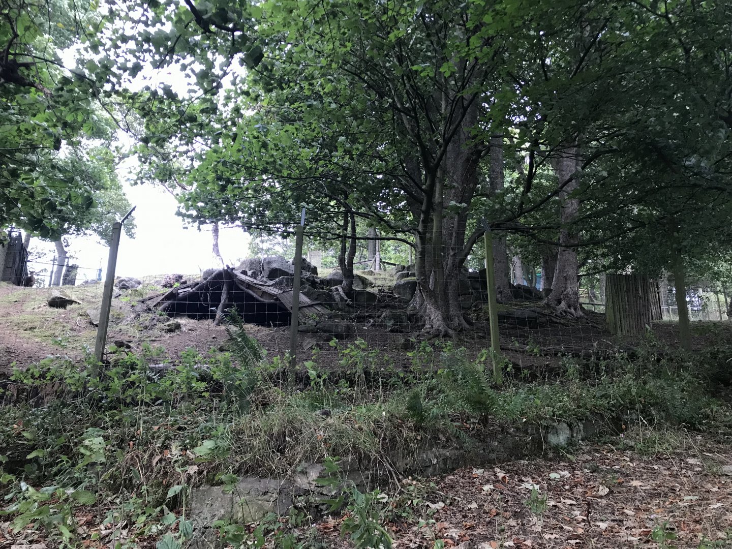 Lowland nyala enclosure