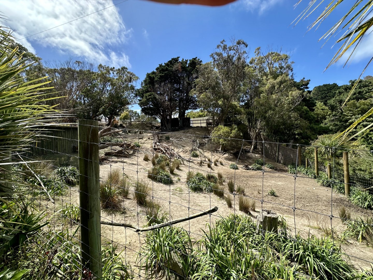Lowland Nyala Exhibit