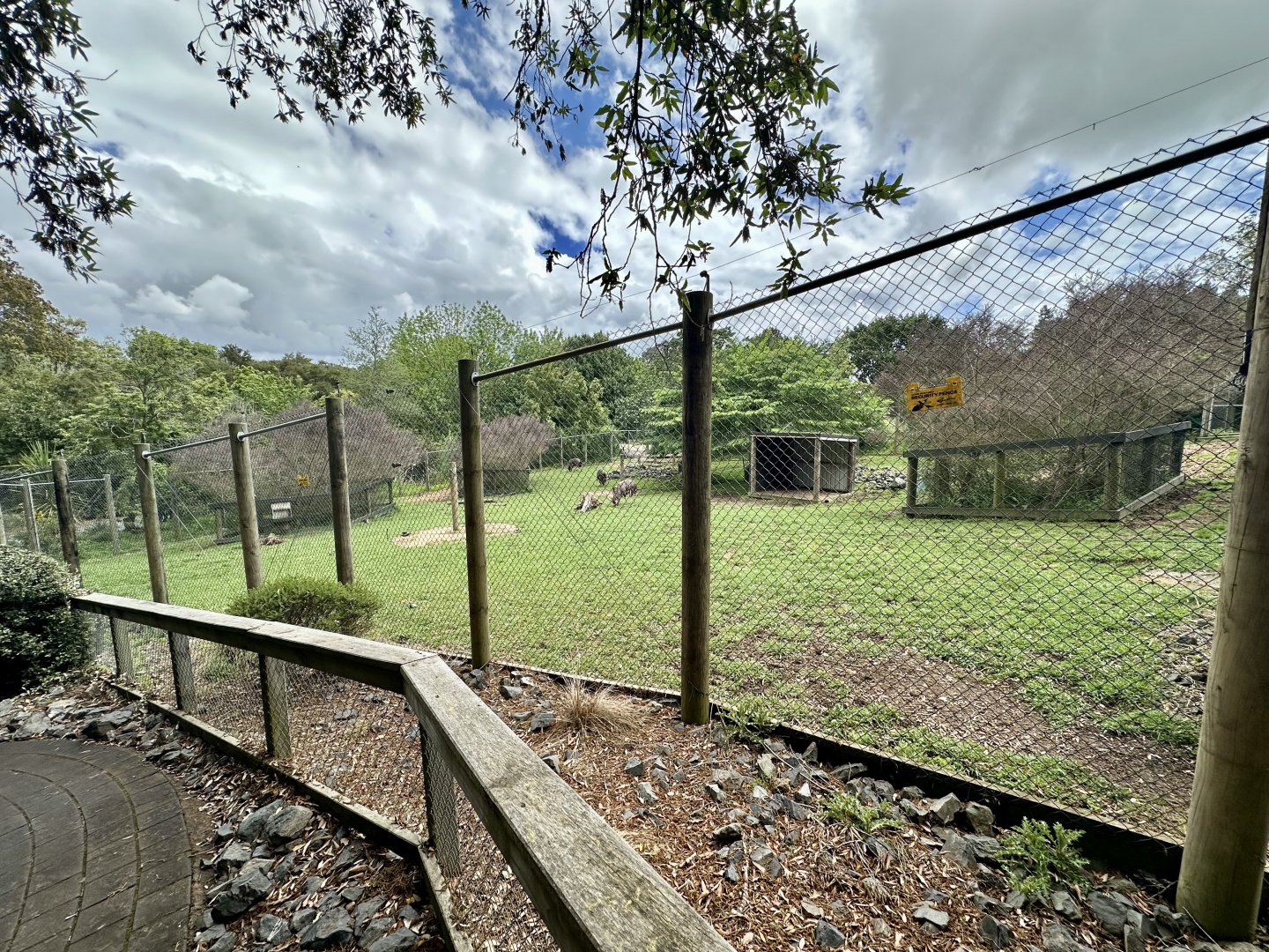 Lowland Nyala Exhibit