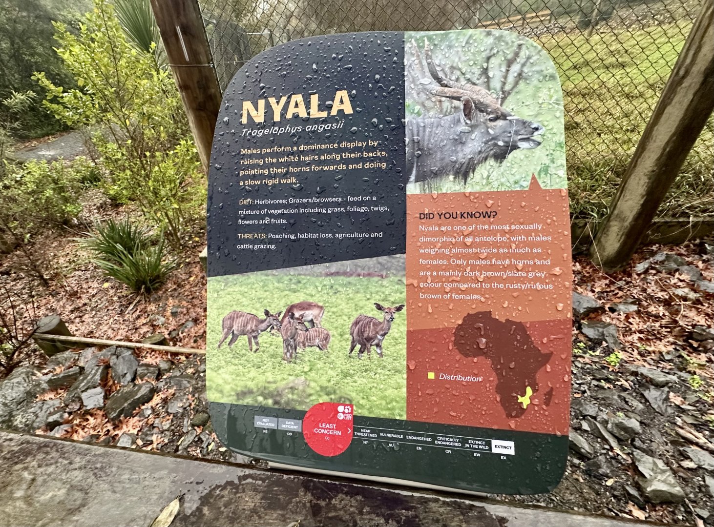 Lowland Nyala Signage