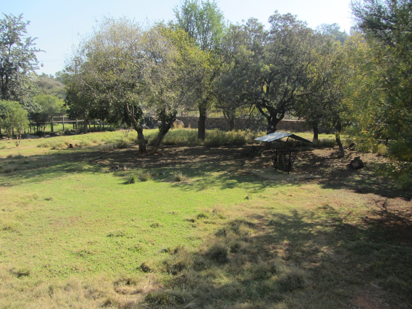 Lowland Nyala/Southern Steenbok Yard