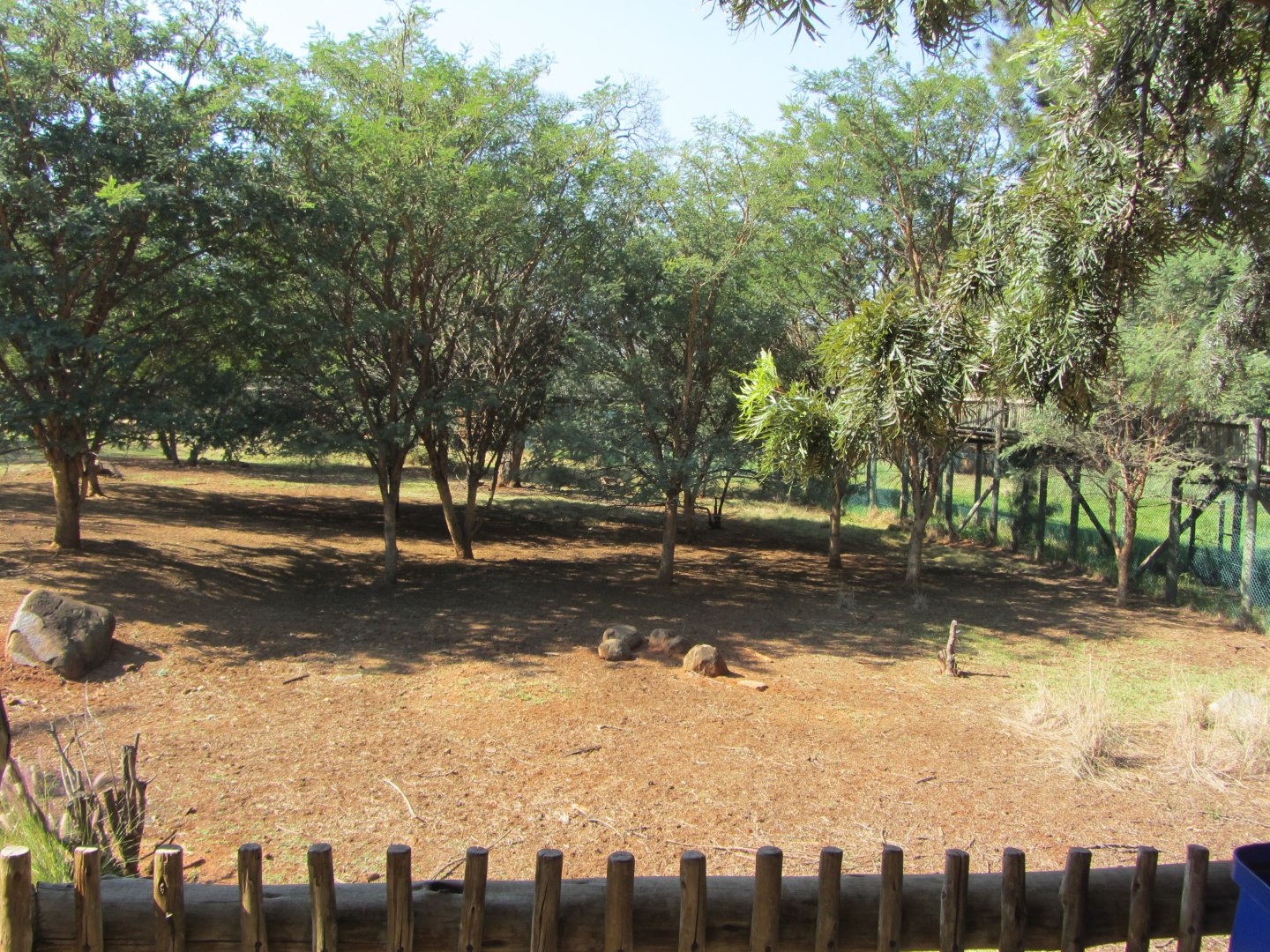 Lowland Nyala/Southern Steenbok Yard