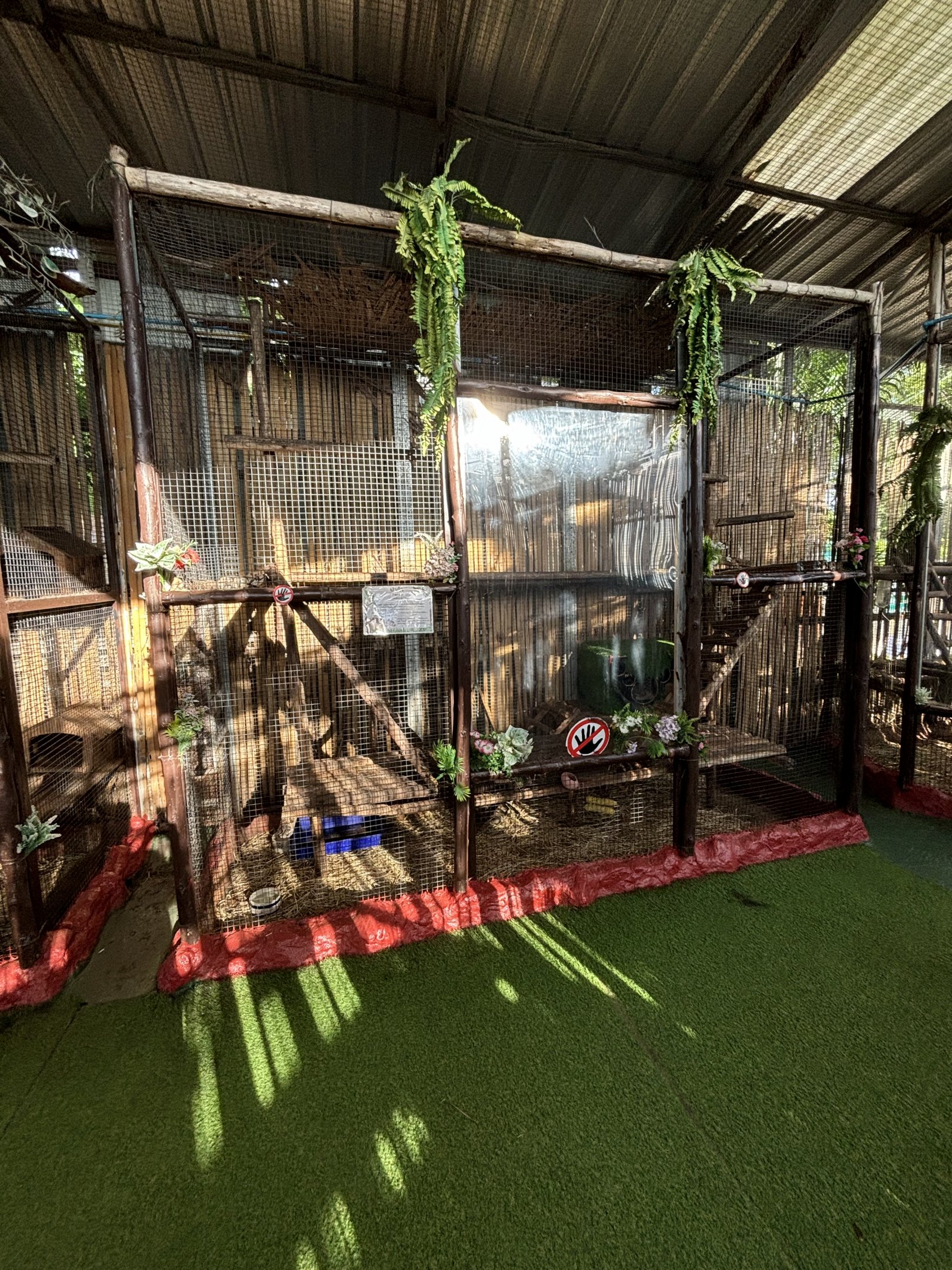 Lowland Paca Exhibit