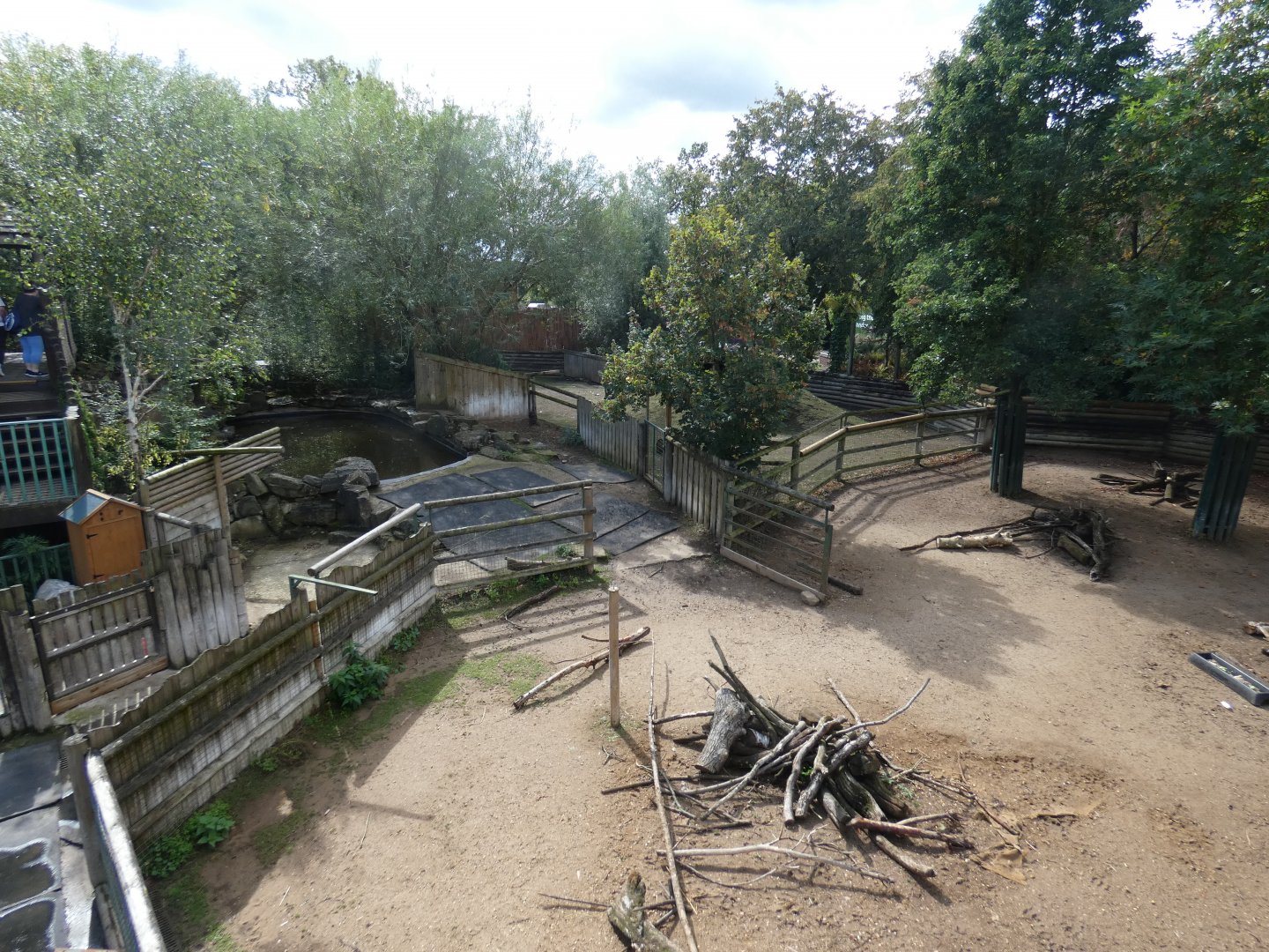 Lowland tapir and capybara enclosure
