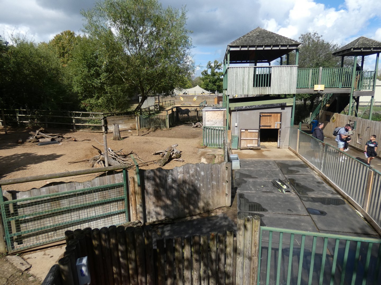 Lowland tapir and capybara enclosure