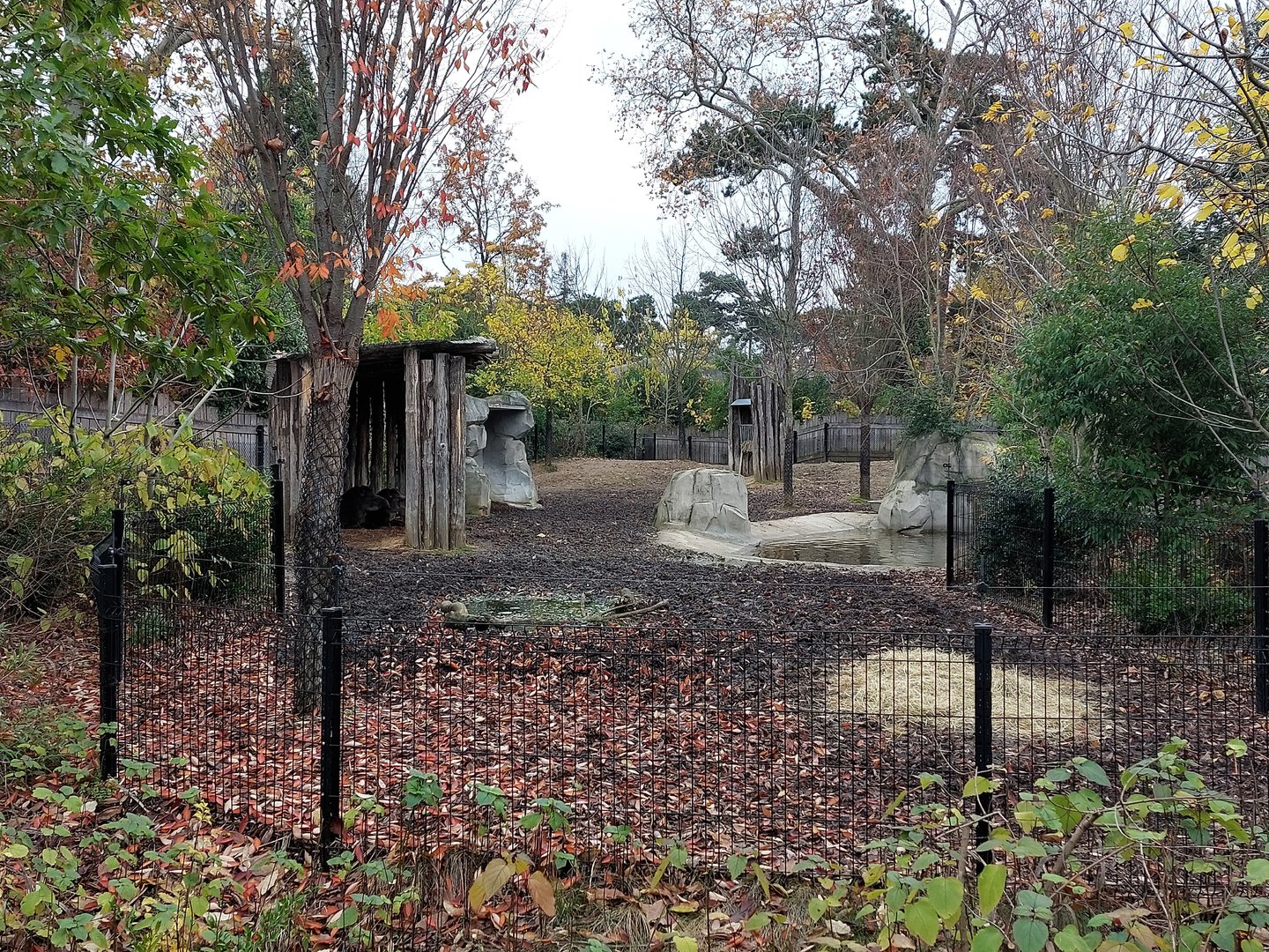 Lowland tapir and capybara exhibit
