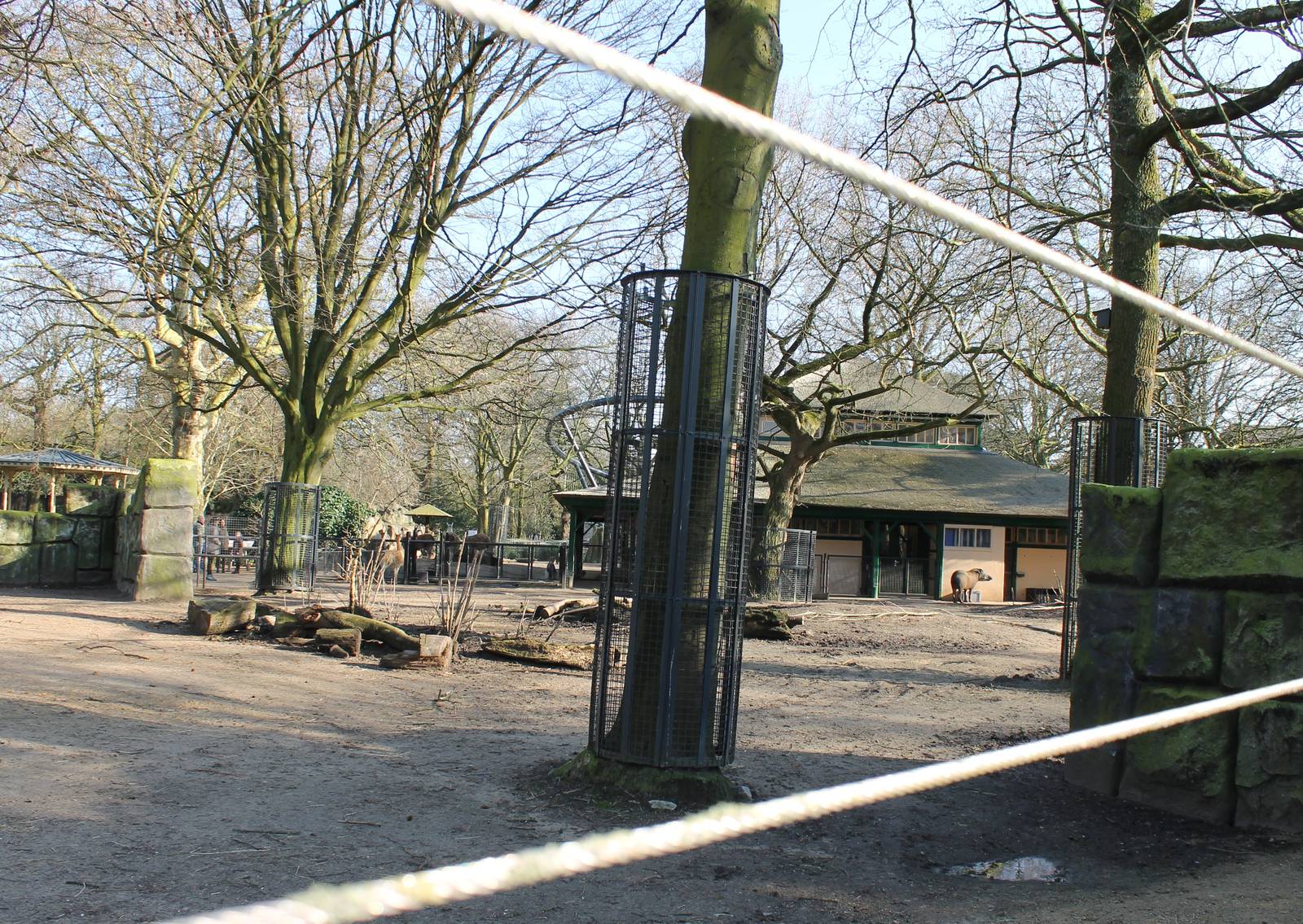 Lowland tapir and Llama enclosure