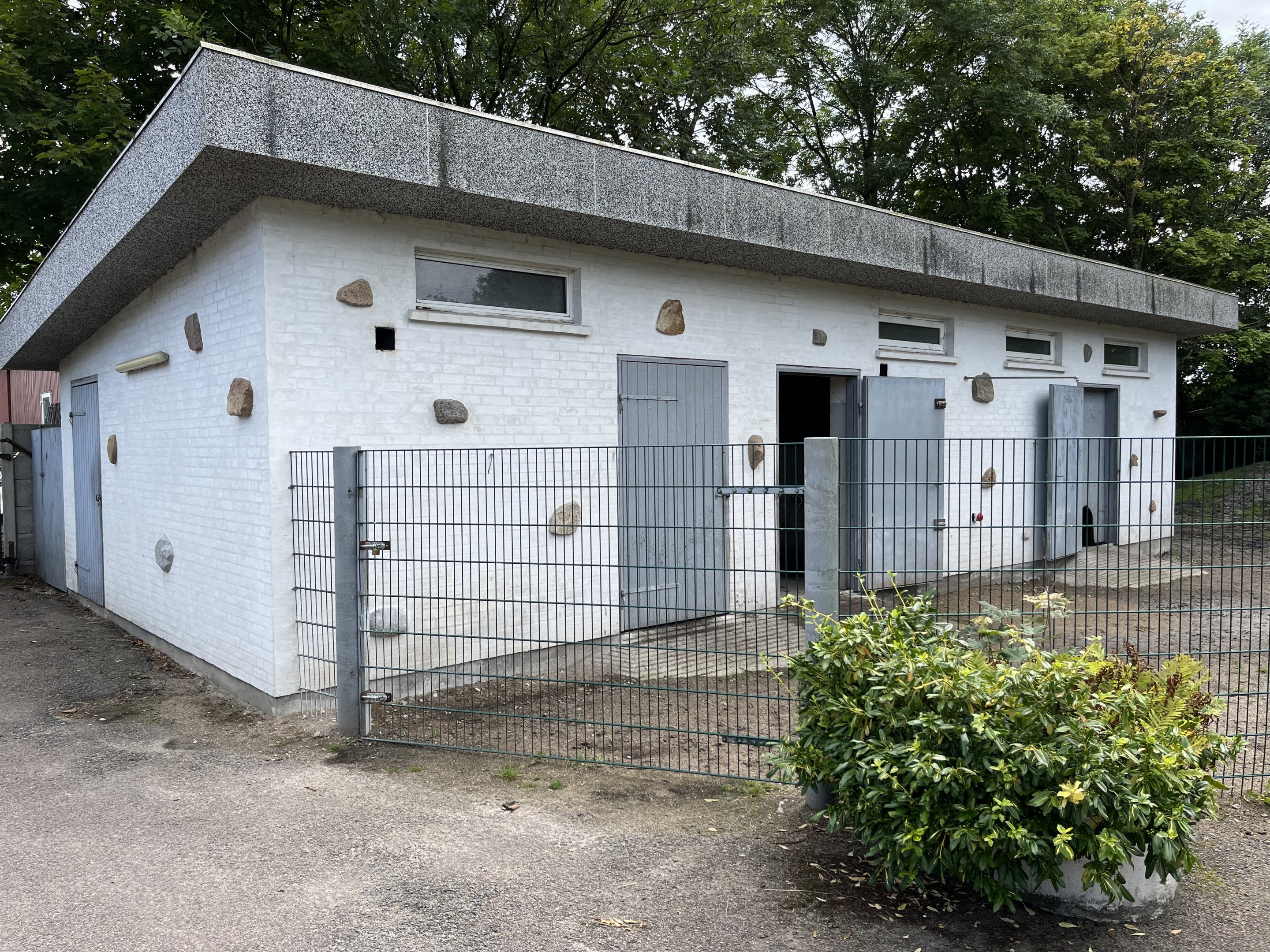 Lowland Tapir/Capybara House
