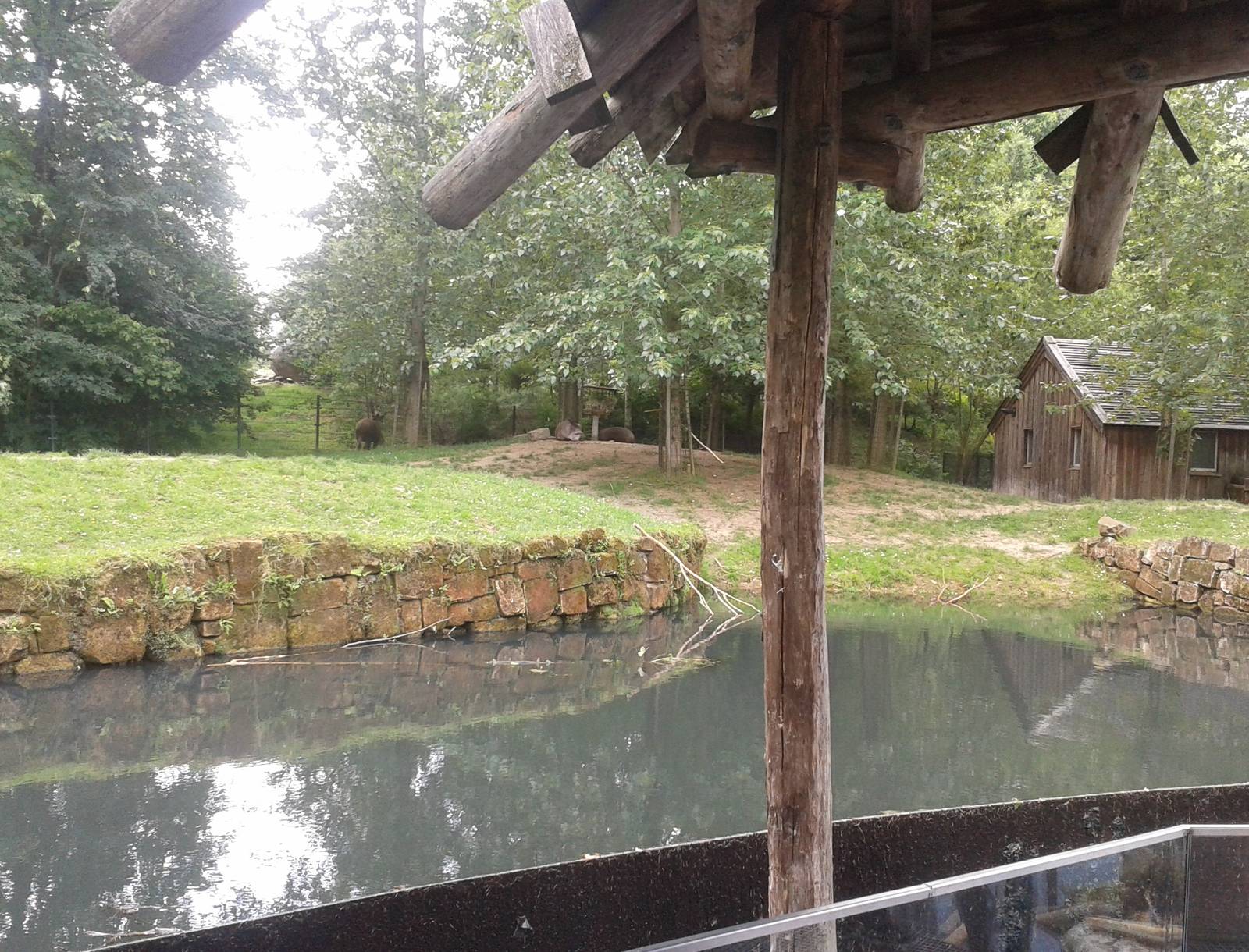 Lowland tapir enclosure